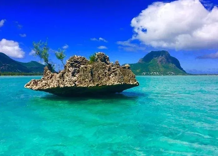 Ile Maurice - Villa entre mer et montagnes - Riviere noire - 15