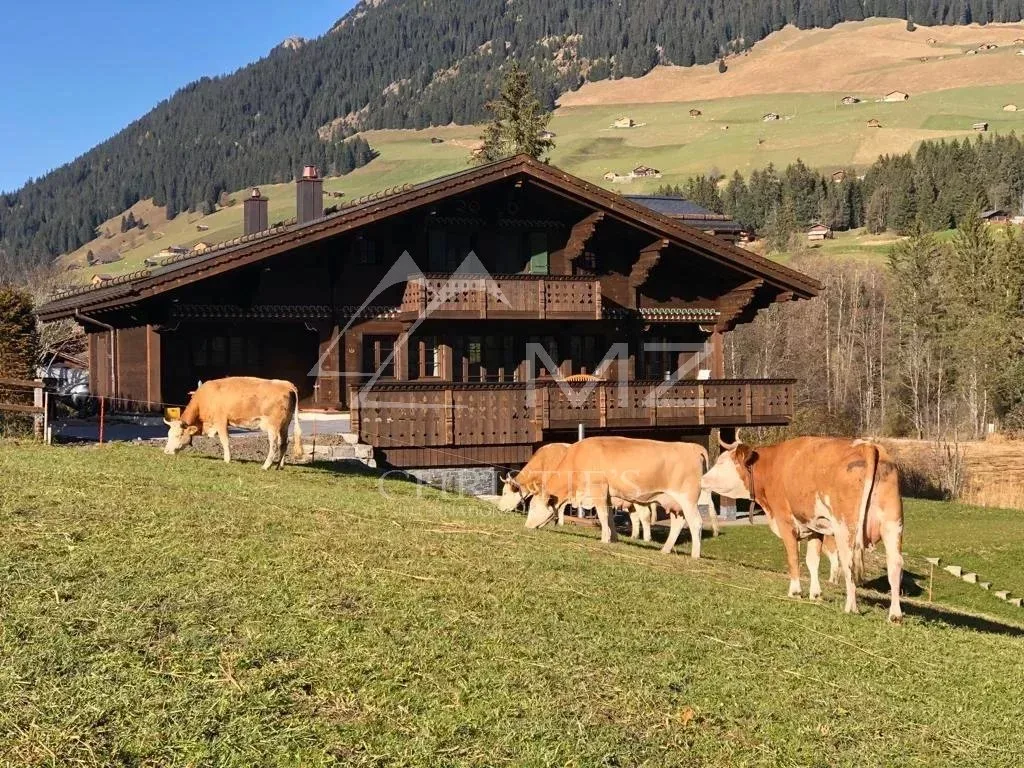 Chalet élégant en location saisonnière à Lauenen - 14