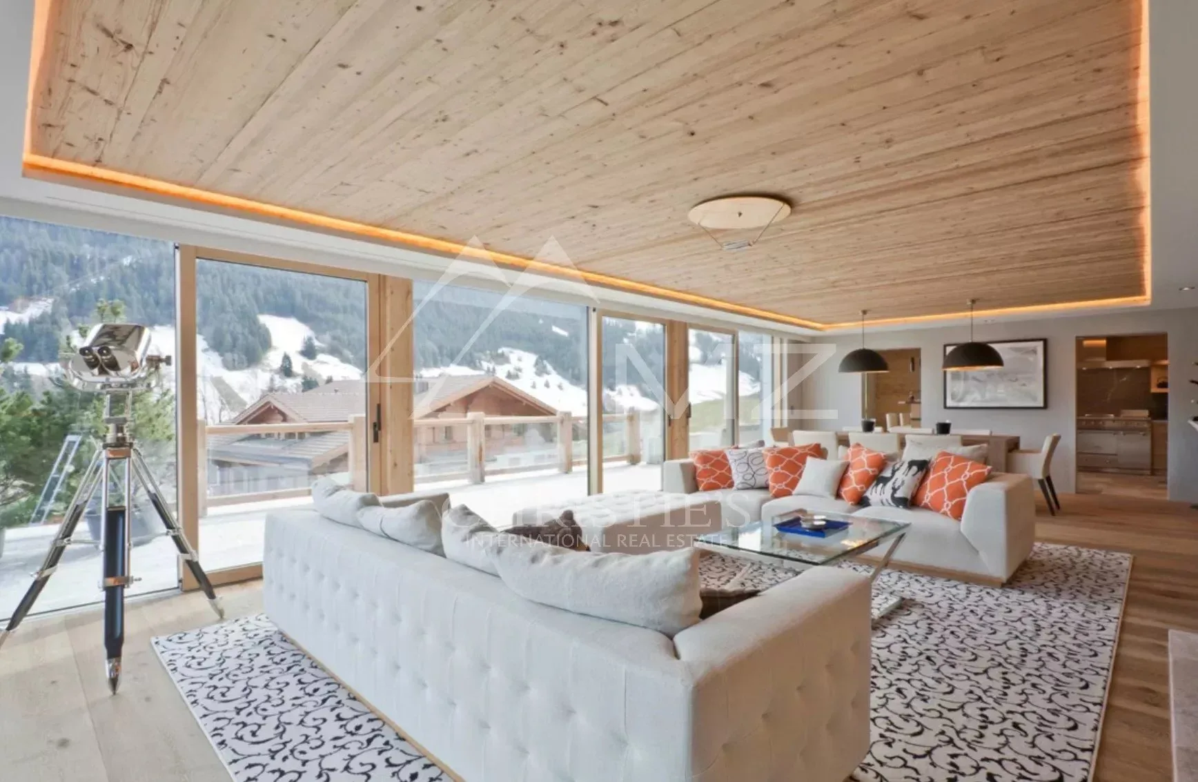 Location saisonnière d'un somptueux appartement à Rougemont - 7