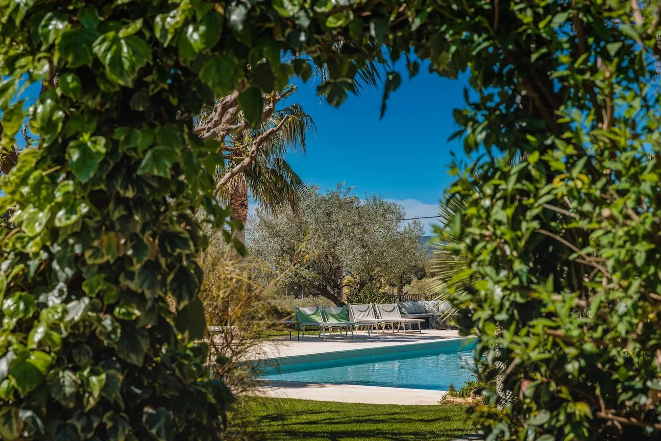 SUBLIME PROPRIÉTÉ OLEO-VITICOLE EN PROVENCE - 4