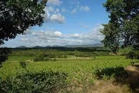 UN DOMAINE VITICOLE EN APPELLATION FAUGÈRES - 4