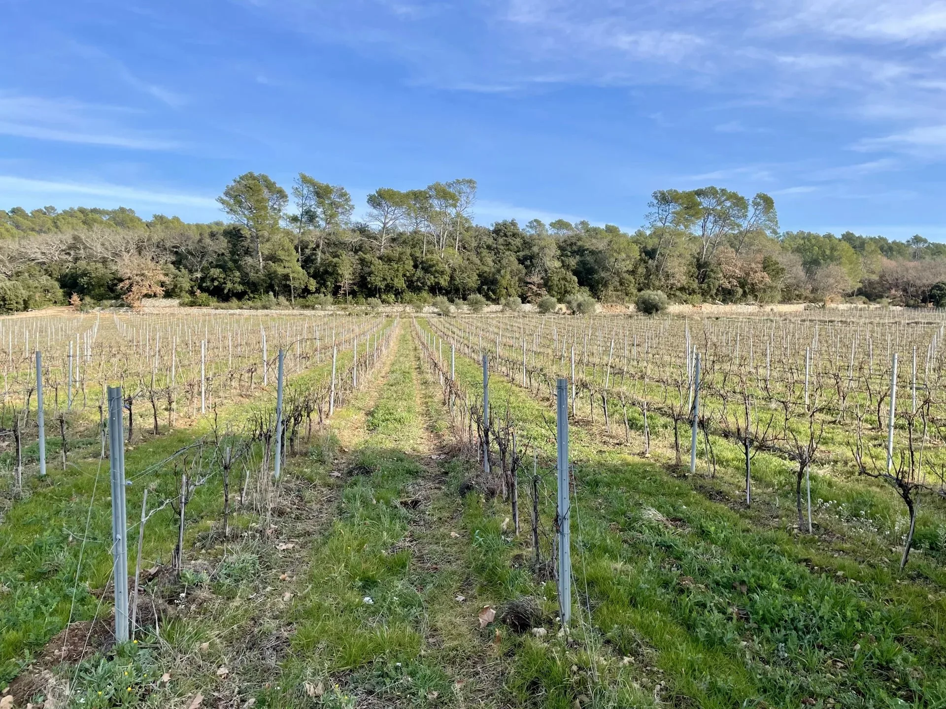 BASTIDE DE CHARME AU COEUR DU TERROIR DES CÔTES DE PROVENCE - 14