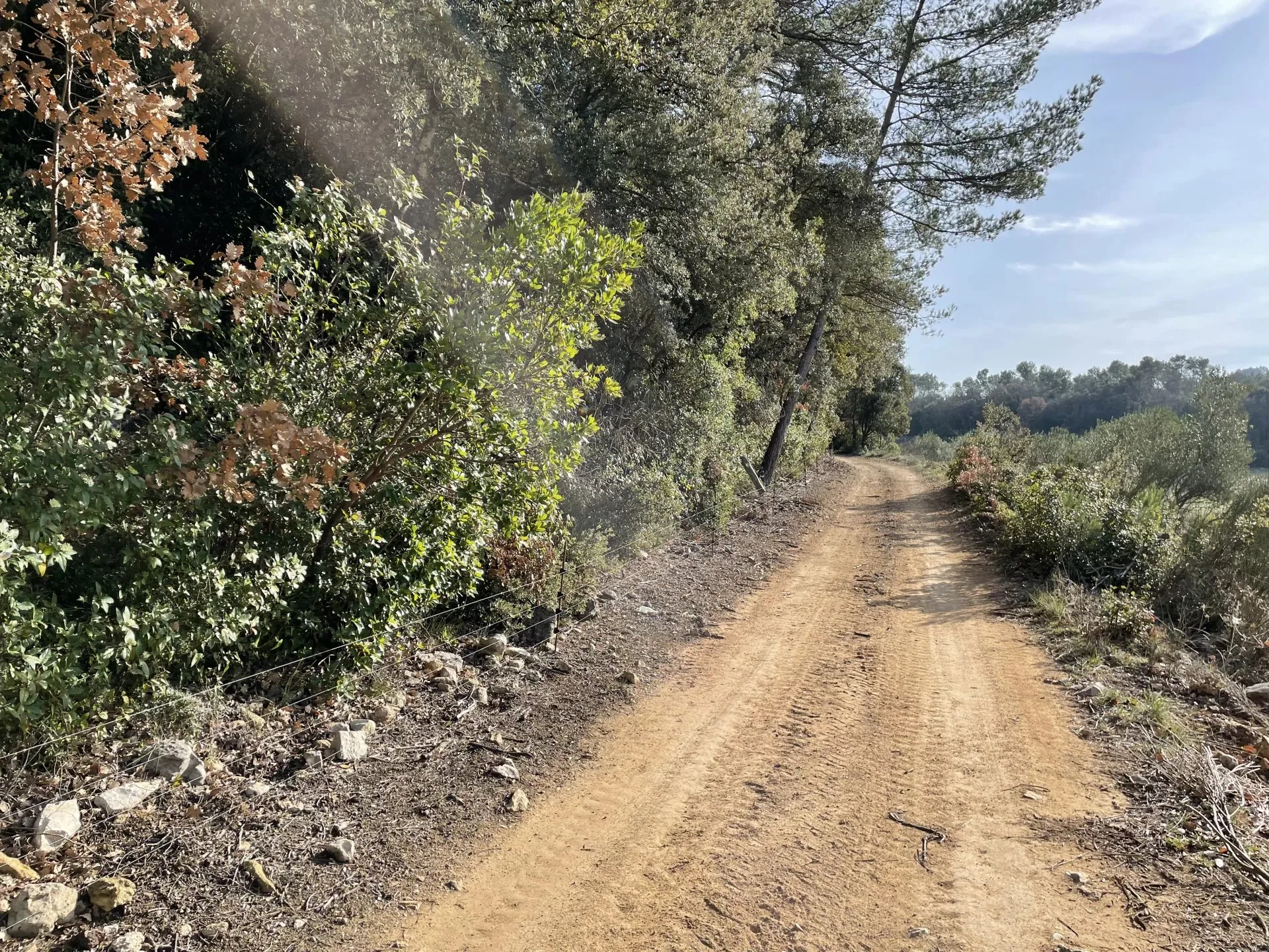 BASTIDE DE CHARME AU COEUR DU TERROIR DES CÔTES DE PROVENCE - 17
