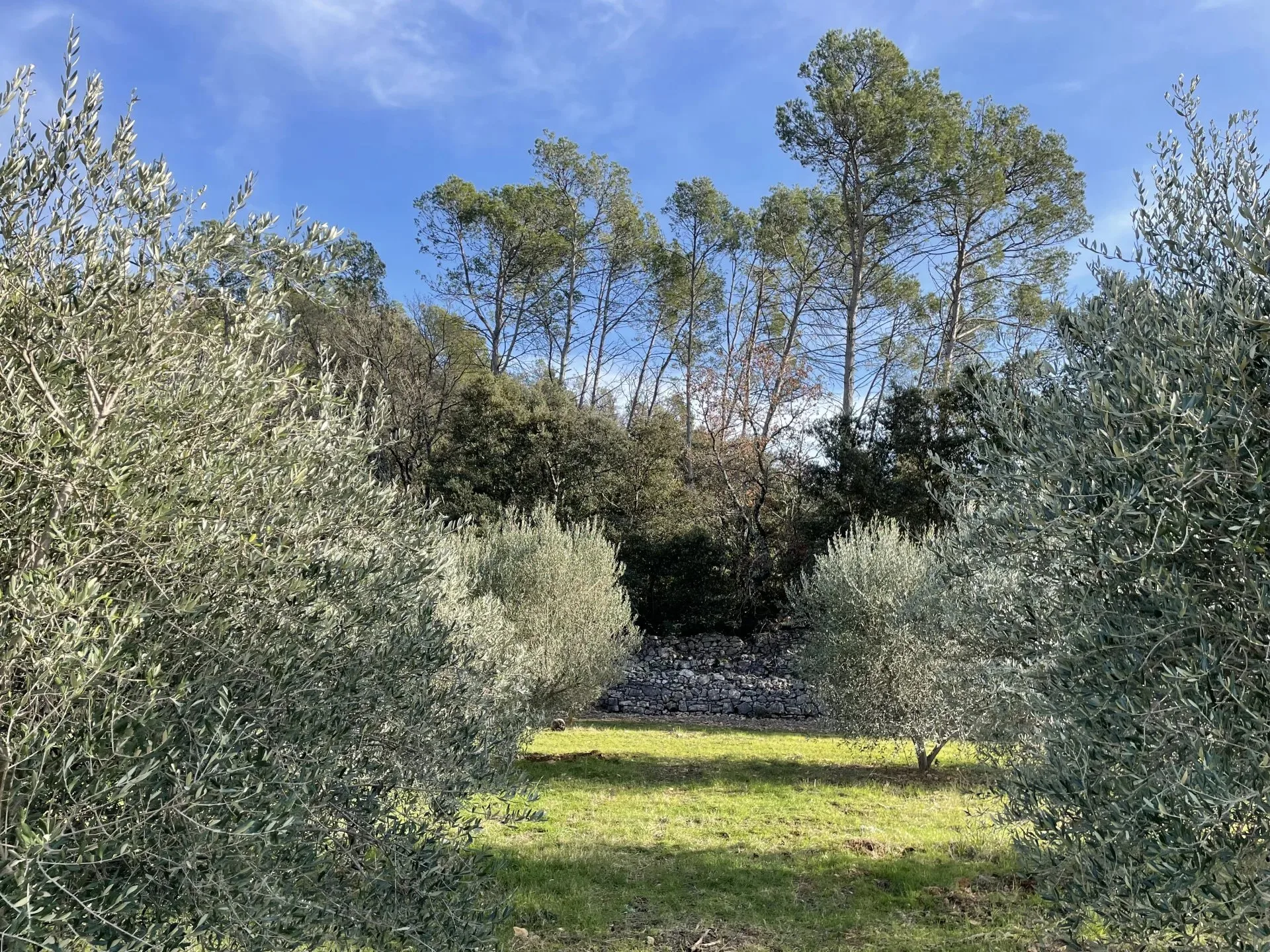 BASTIDE DE CHARME AU COEUR DU TERROIR DES CÔTES DE PROVENCE - 12