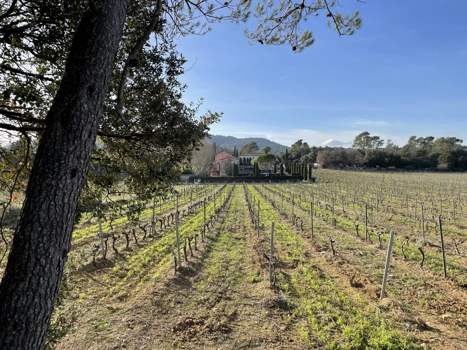 BASTIDE DE CHARME AU COEUR DU TERROIR DES CÔTES DE PROVENCE - 19