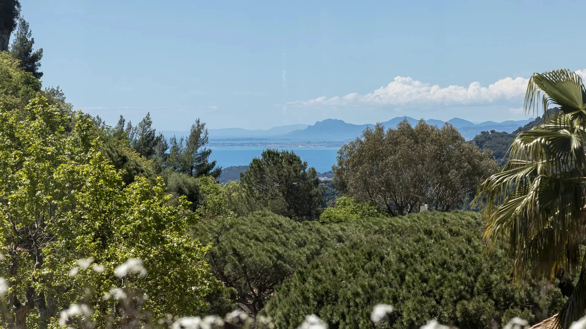 Eze - Magnificent flat with large terrace - 12