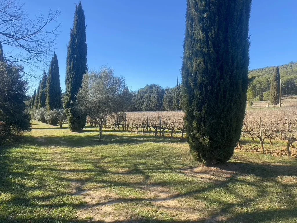 DOMAINE VITI-VINICOLE AU CHARME TOSCAN - 5