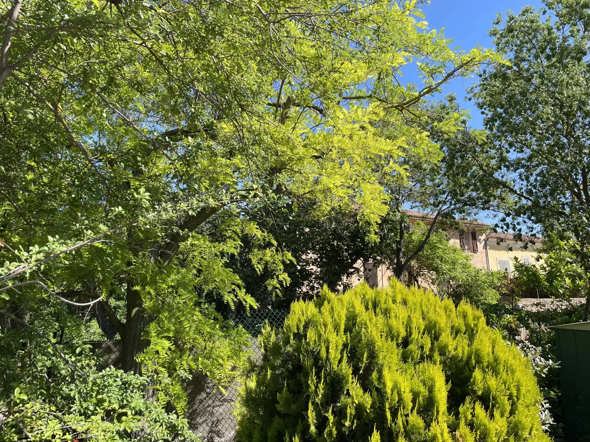 AOP CÔTES DE PROVENCE - EXPLOITATION VITICOLE EN CENTRE VAR - 8