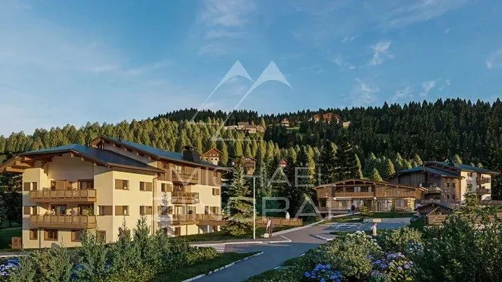 Appartement T5 séjour plafond cathédrale - Petite copropriété "esprit chalet" - 3