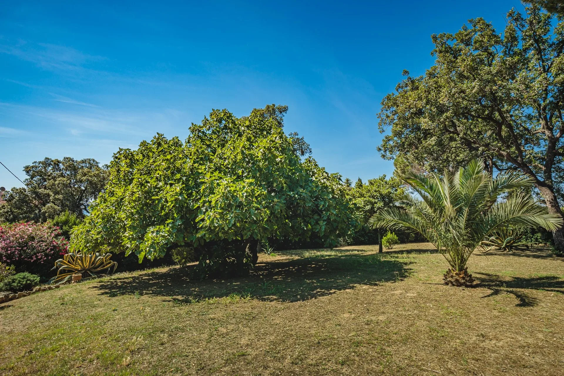 Provençal villa – Prestigious Beauvallon estate - 5