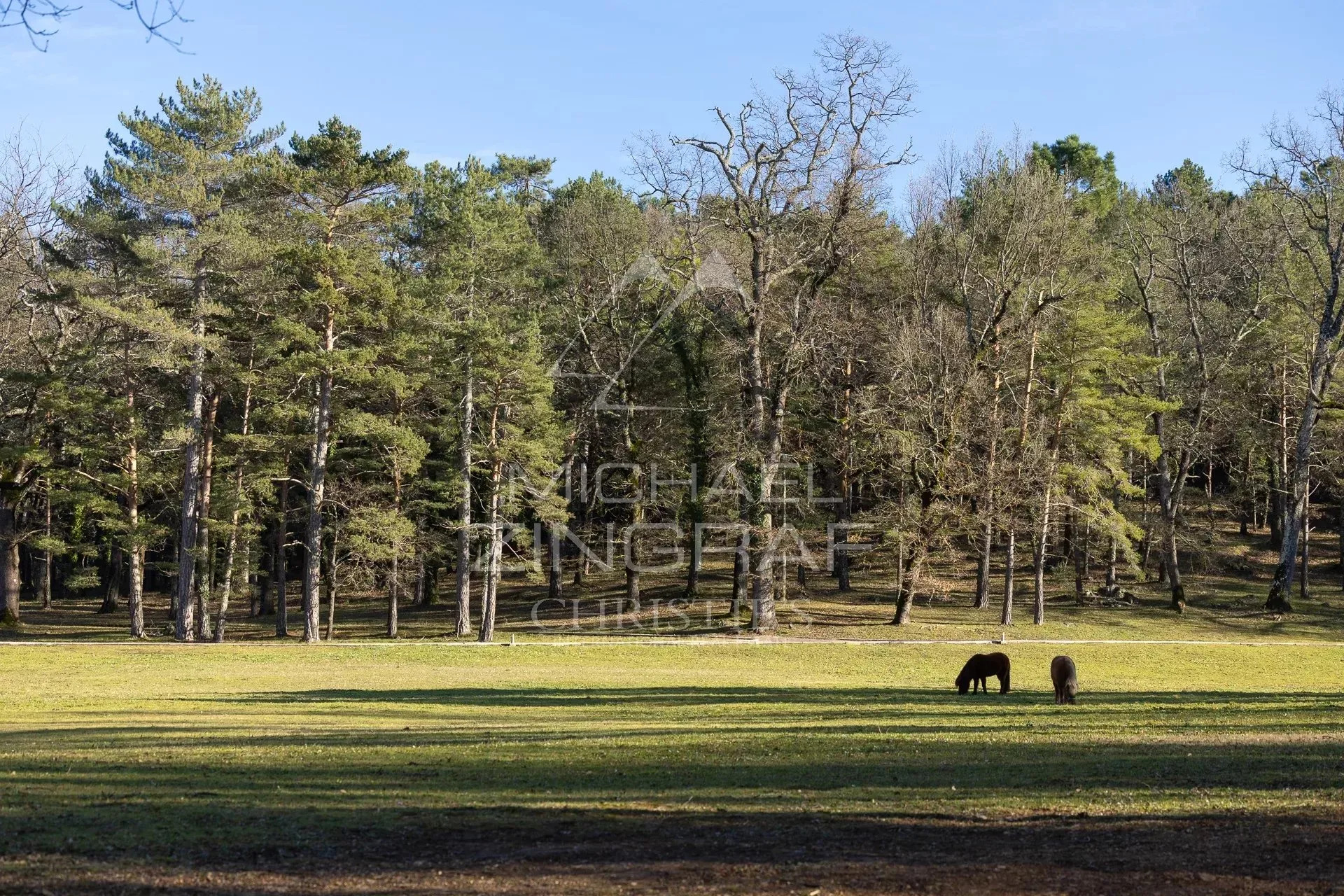 Un domaine d’exception pour une vie hors du commun - 14