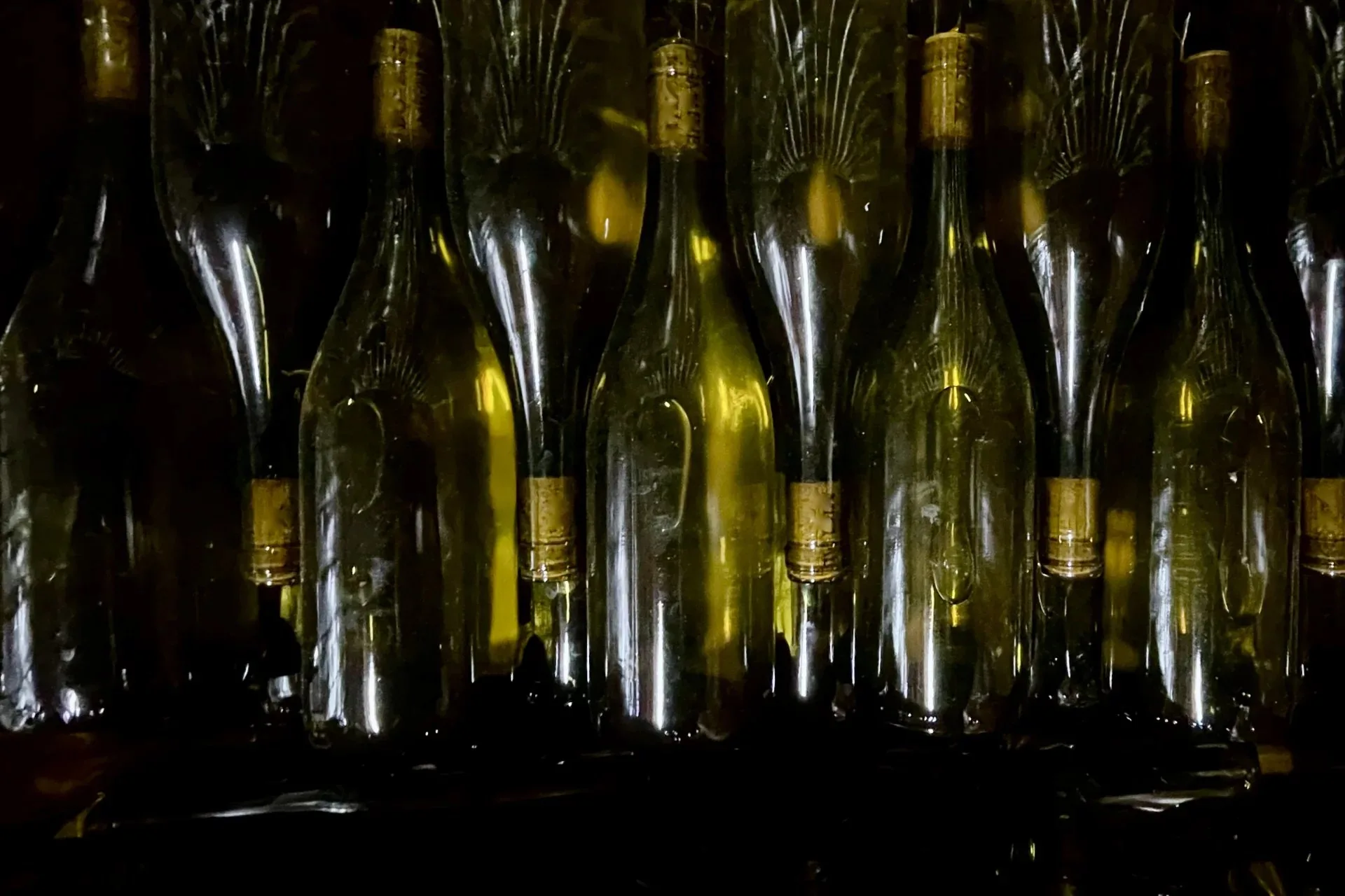 RARE- Domaine viti-vinicole BEAUJOLAIS - 9
