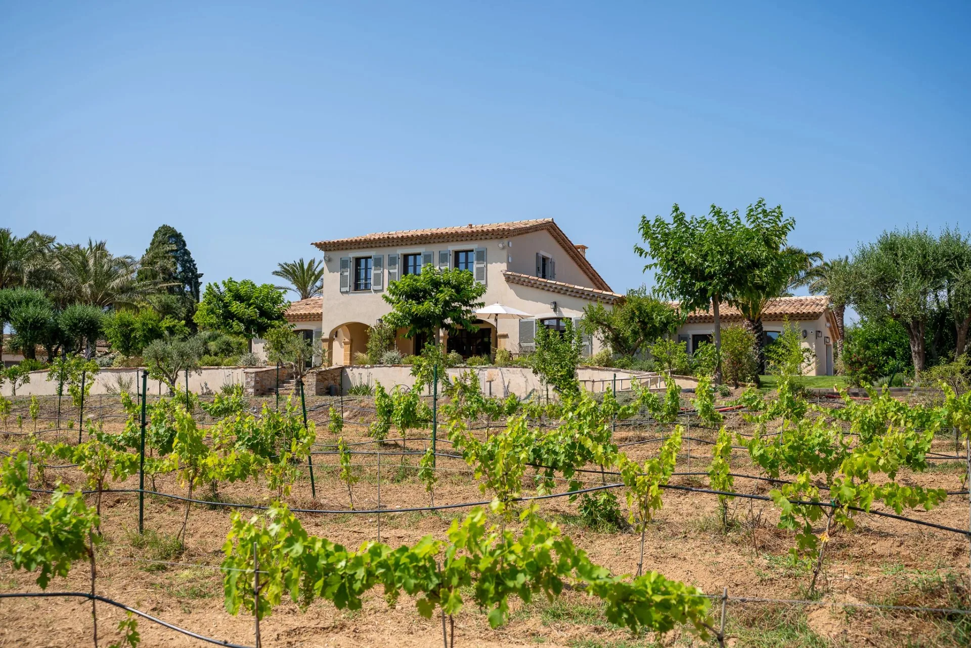 Saint-Tropez - Villa de prestige dans un écrin de verdure - 10