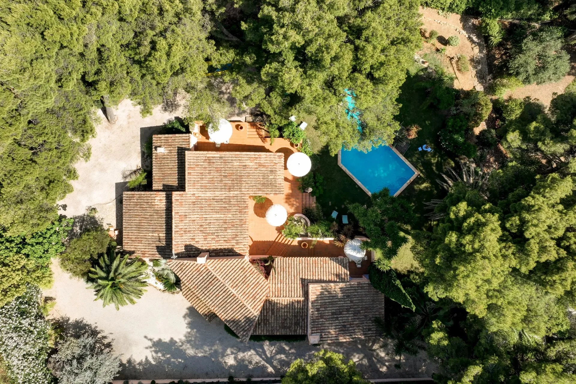 Villa sur les hauteur de La Ciotat avec piscine - 18