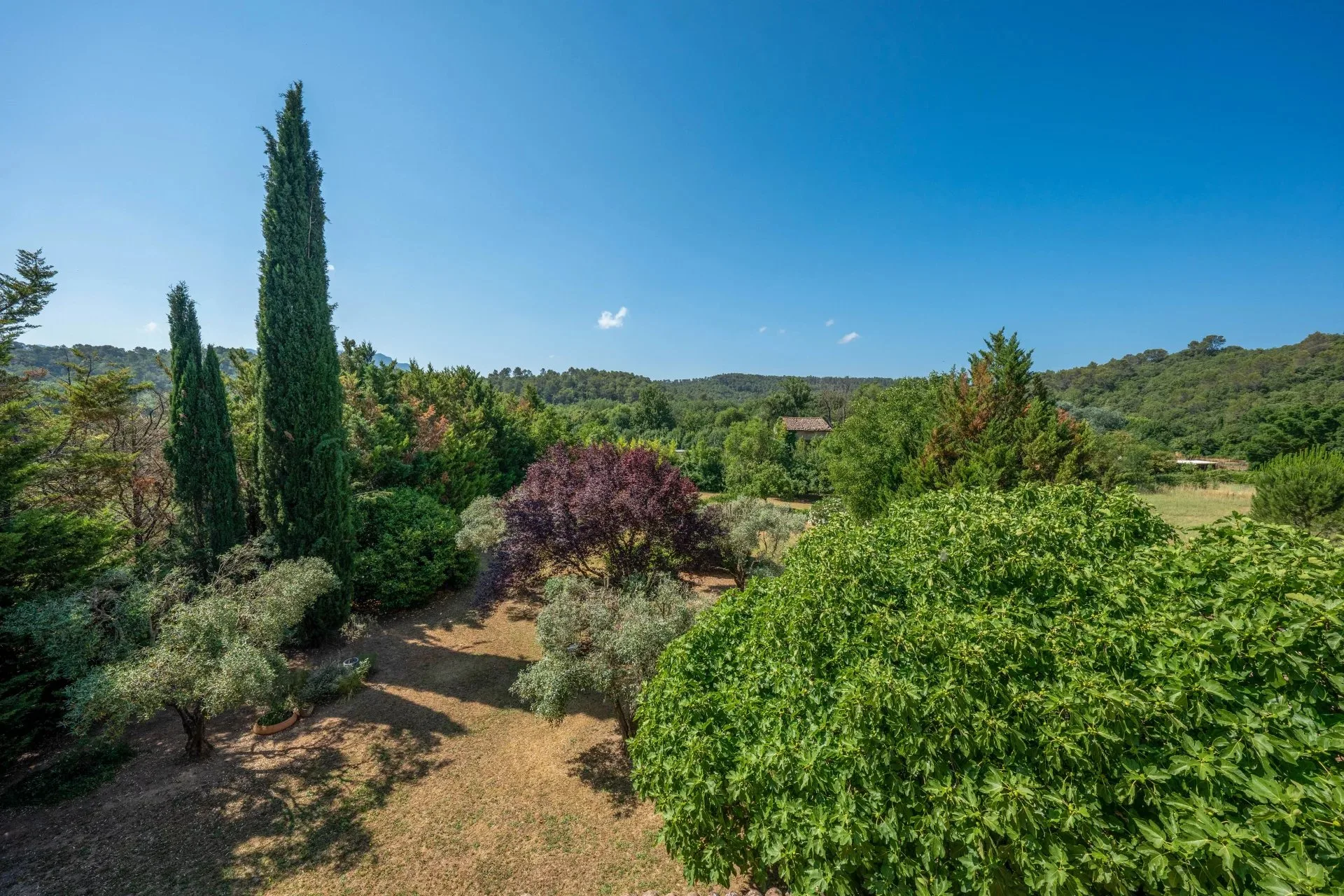 Charmante ferme rénovée au cœur de la Provence Verte - 13