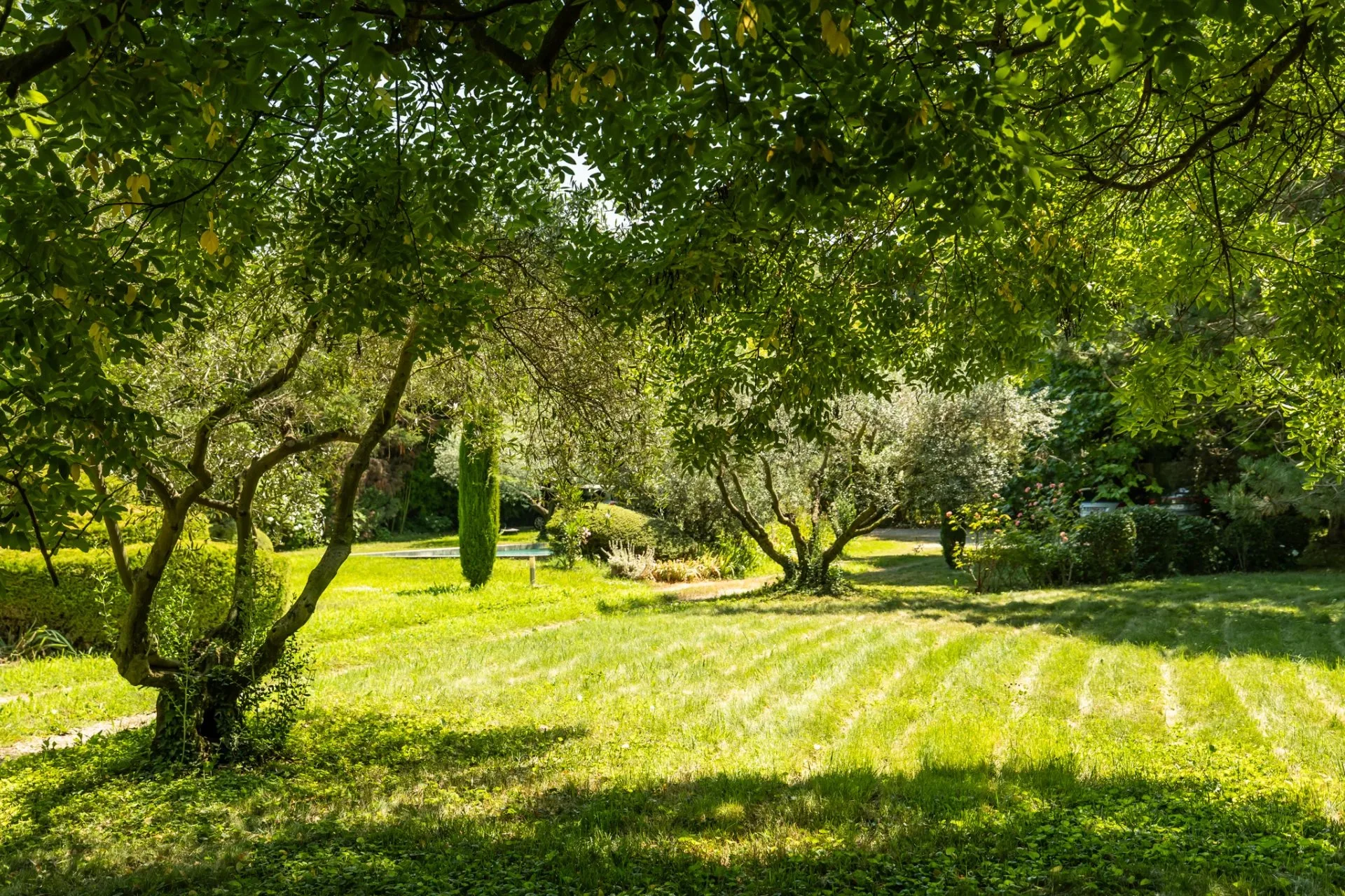 Authentique Mas provençal à 5 minutes de Lourmarin - 2