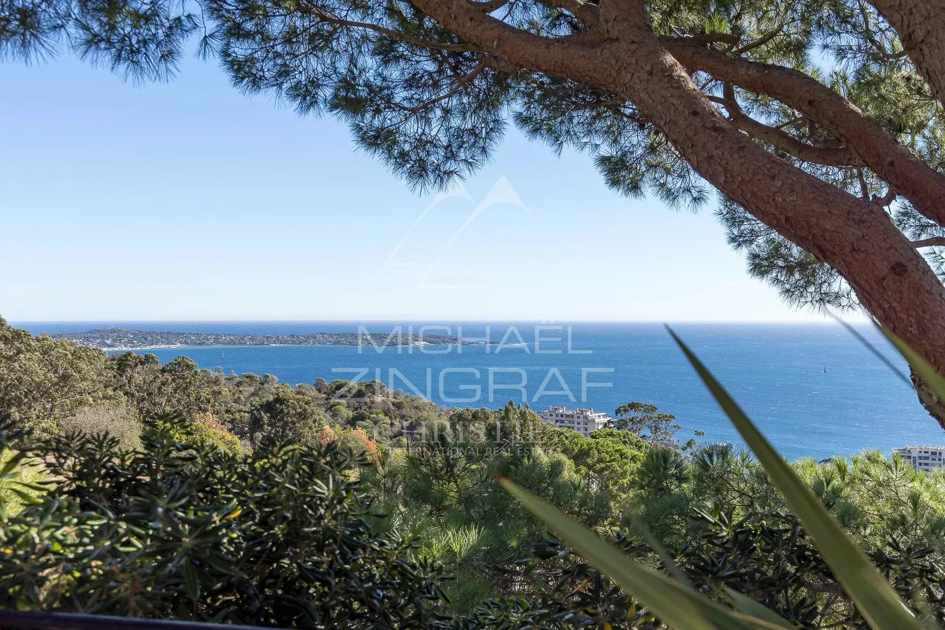 EXCLUSIVITÉ - Cannes Californie - Vue Mer Panoramique à 180° - 3