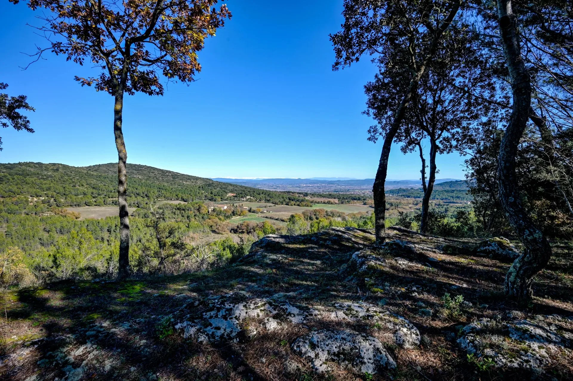 Maison dans un cadre d'exception à 20 km d'Aix-en-Provence - 7
