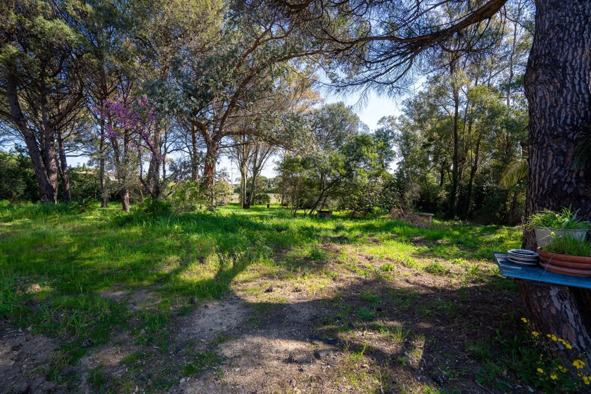 Projet de rénovation à Ramatuelle avec permis de construire - 7