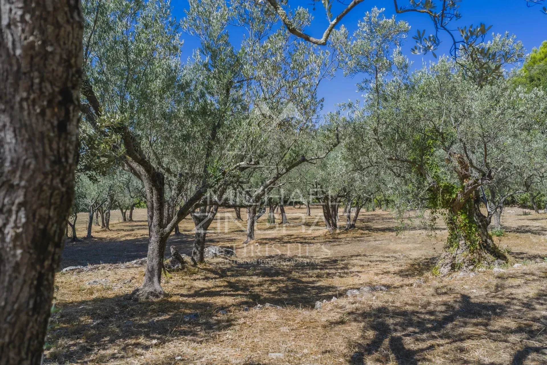 Domaine au coeur de la nature - 11