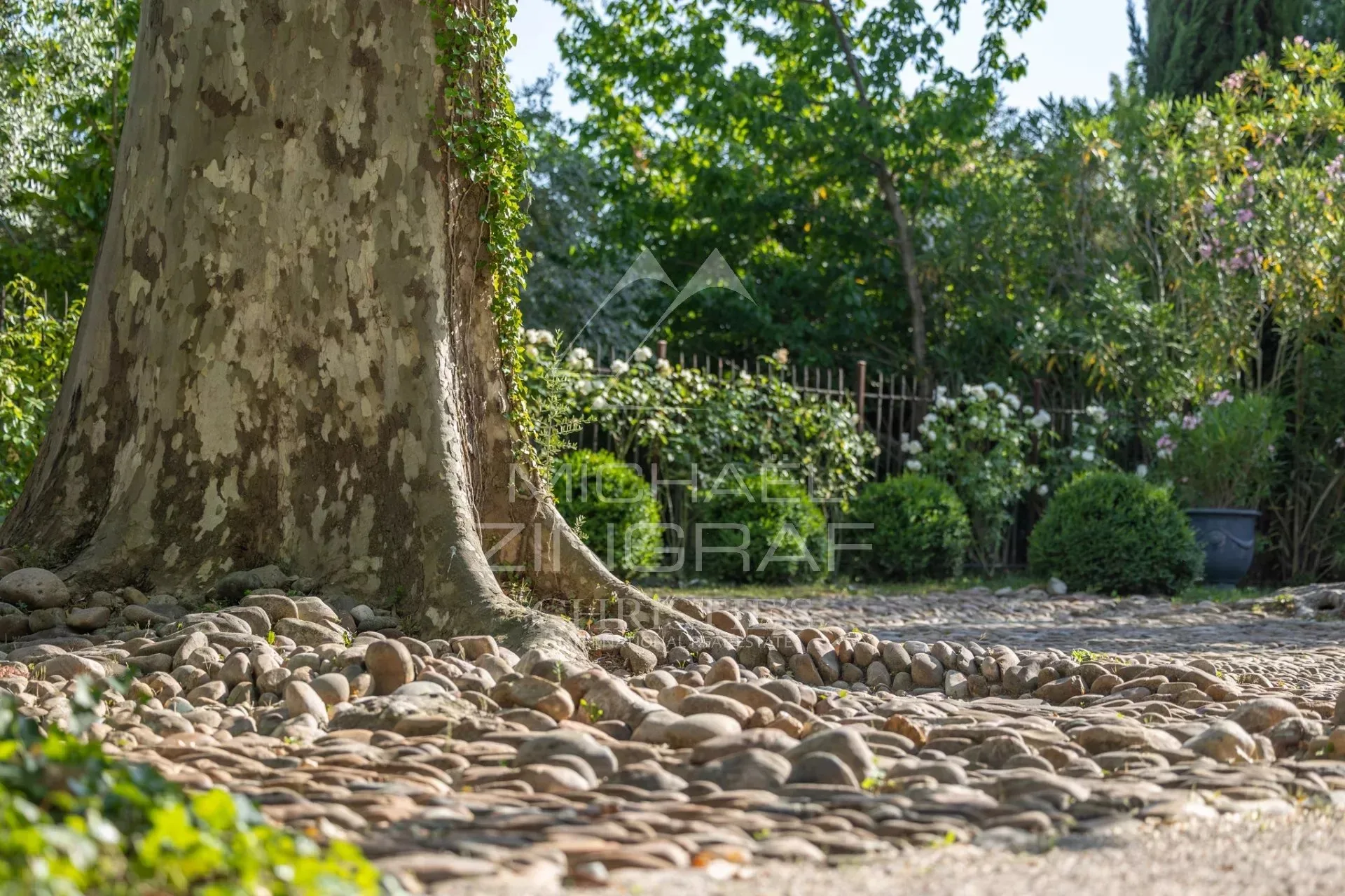 Exclusivité : Exceptionnelle Bastide du XVIIIe siècle aux portes de L’Isle-sur-la-Sorgue sur un parc de 6.3 ha avec salle de réception de prestige - 3