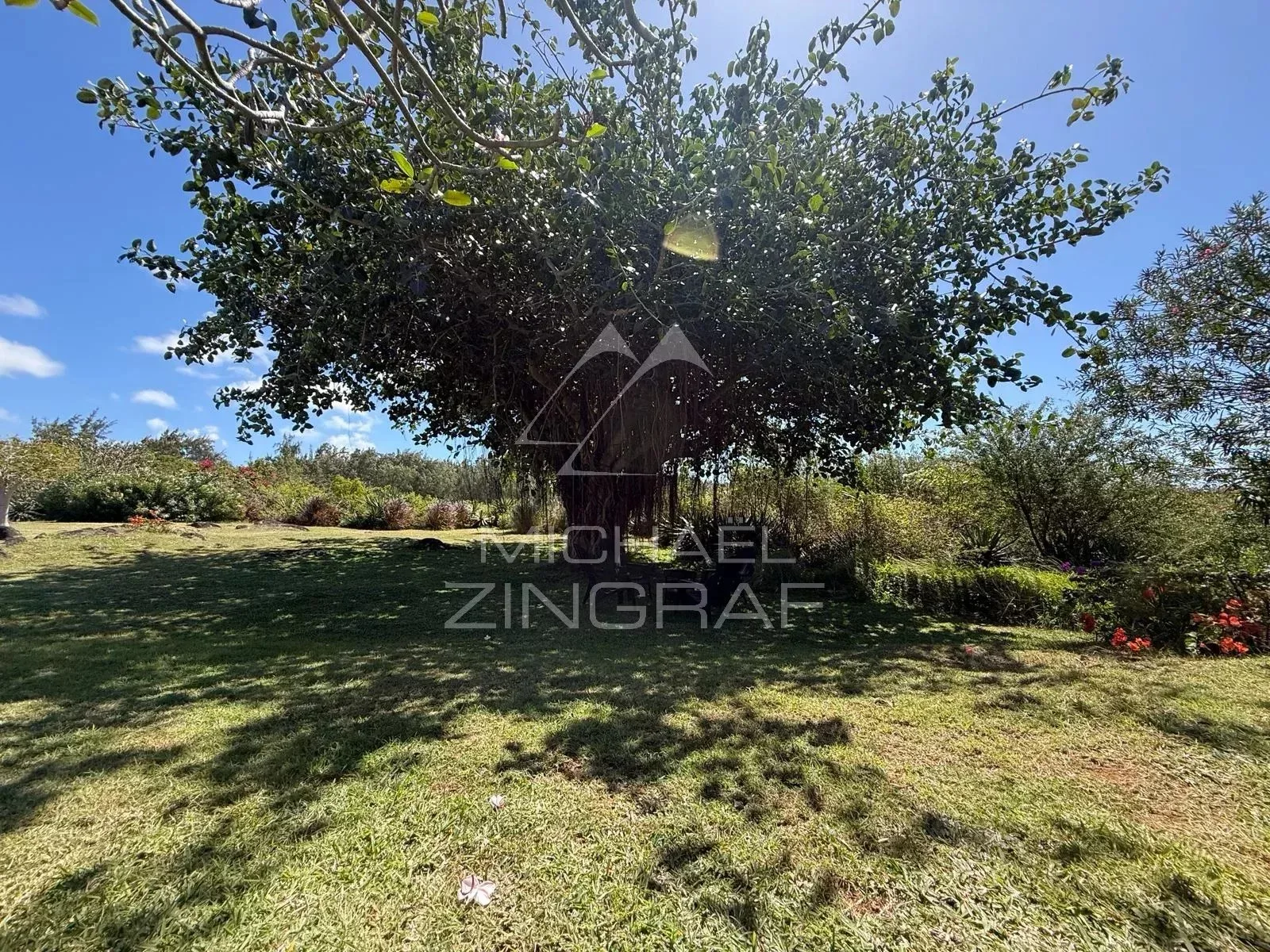 Villa d’Exception au Bord d’un Barachois à Calodyne - 17