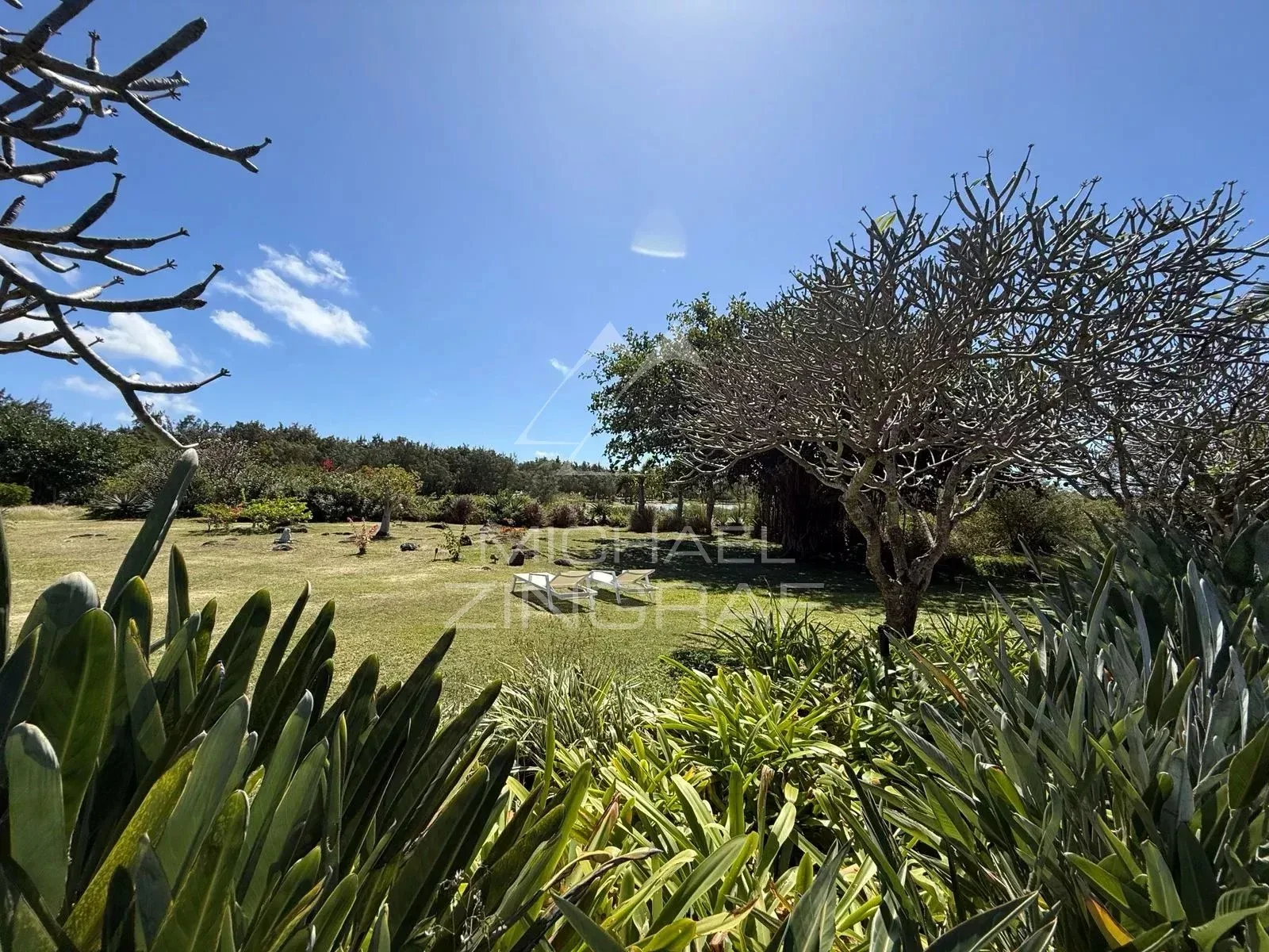 Villa d’Exception au Bord d’un Barachois à Calodyne - 31