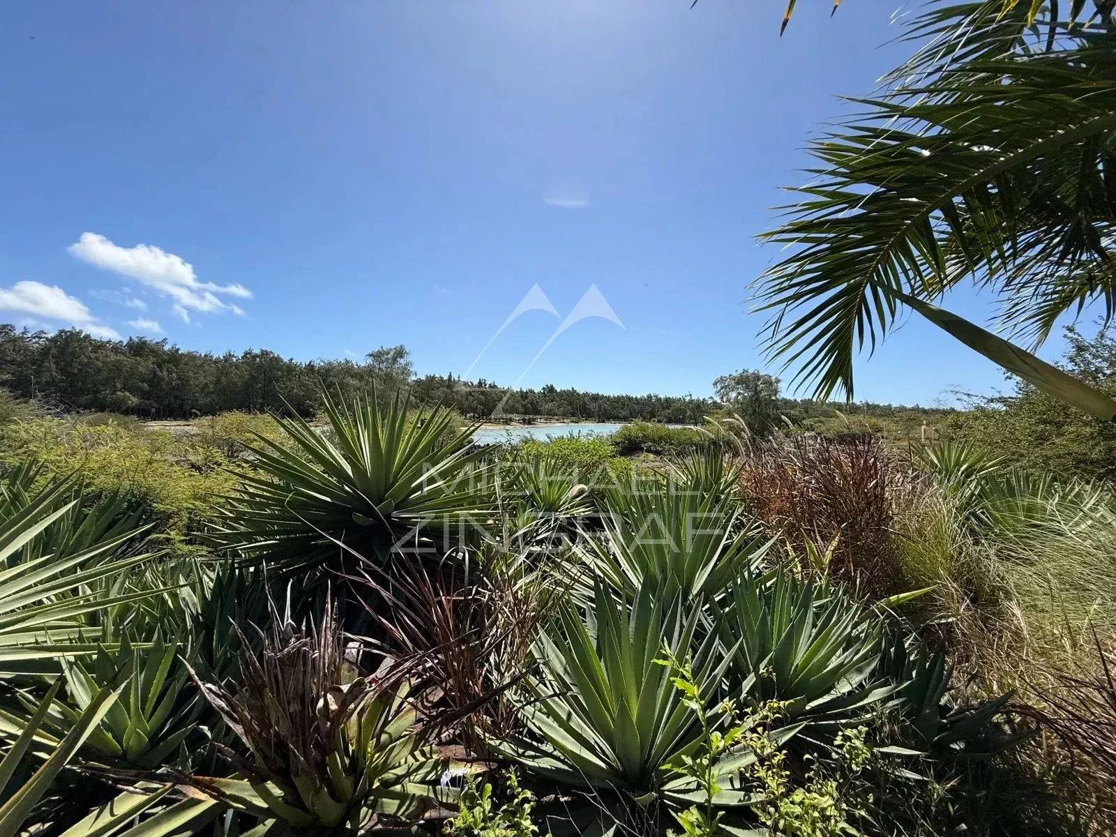 Villa d’Exception au Bord d’un Barachois à Calodyne - 5
