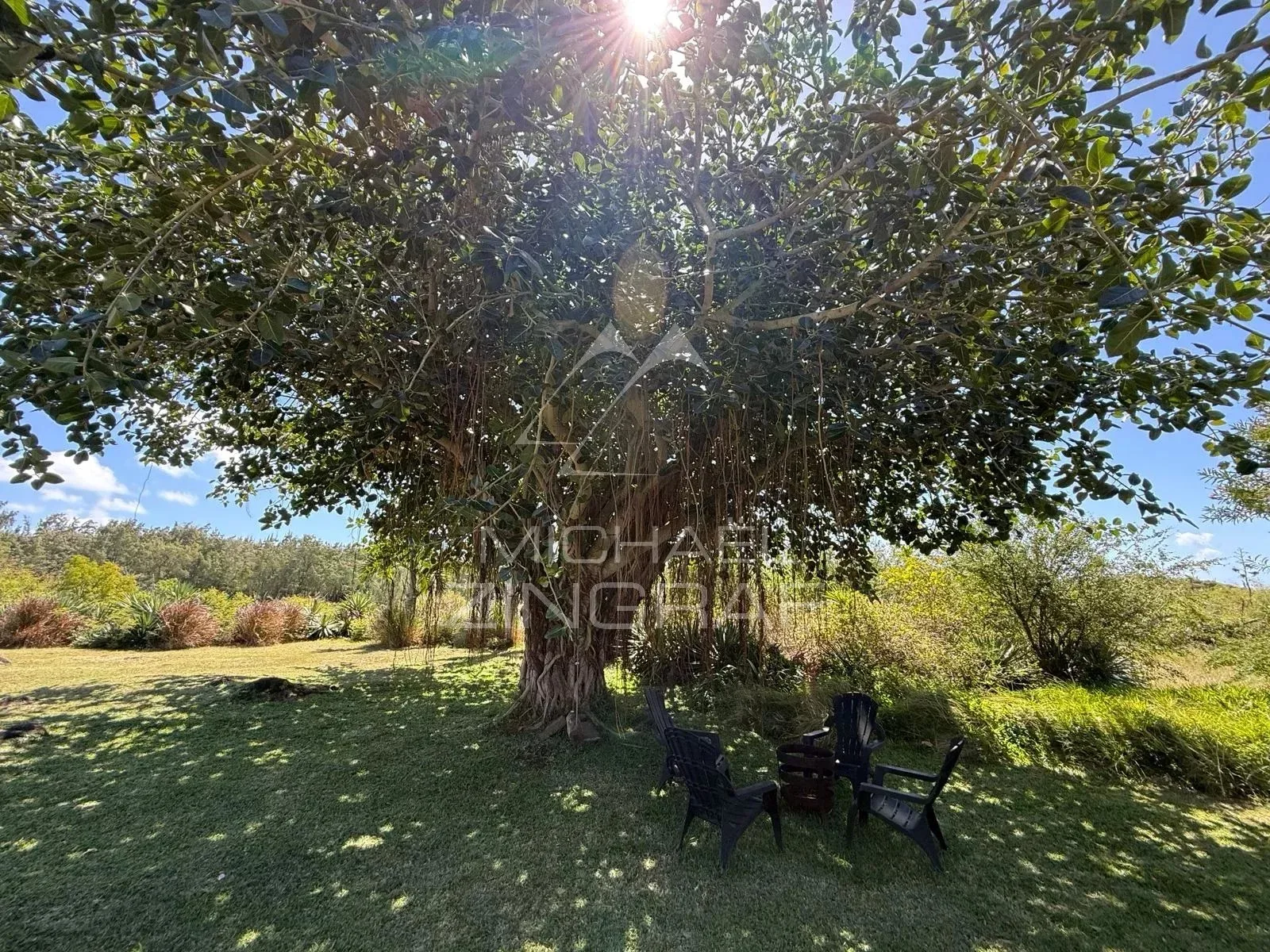 Villa d’Exception au Bord d’un Barachois à Calodyne - 57
