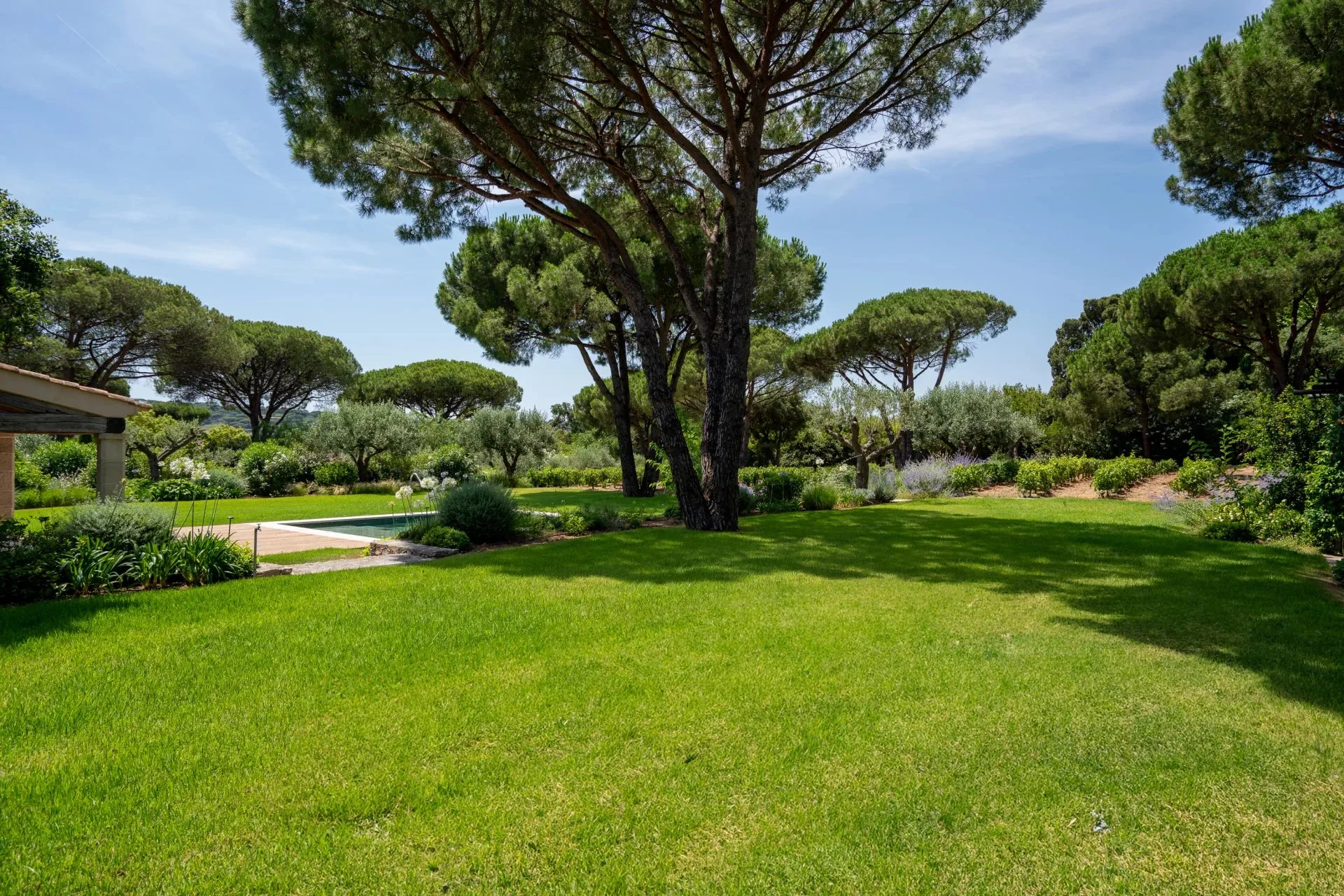 Magnifique propriété provençale - Saint-Tropez - 4