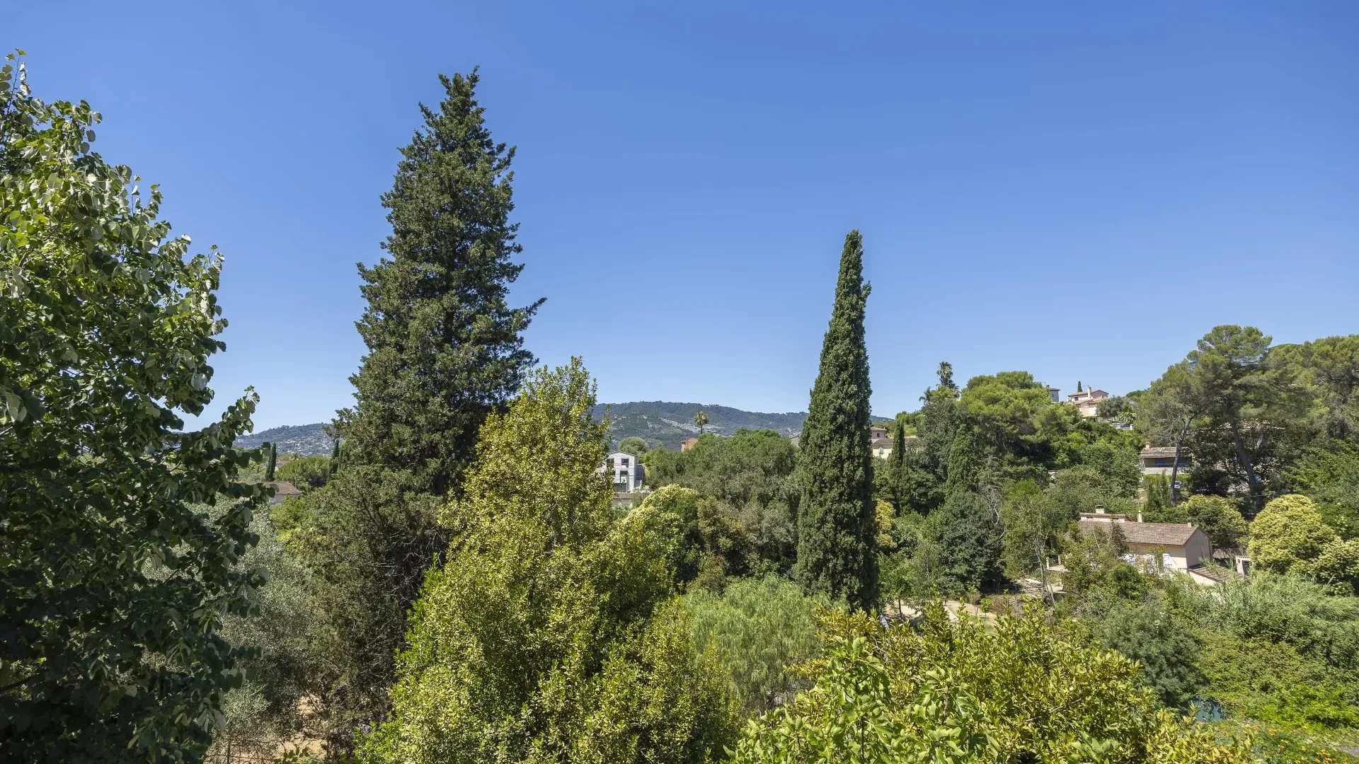 Proche Cannes Ouest – Authentique maison en pierre sur plus de 1,3 hectare - 10