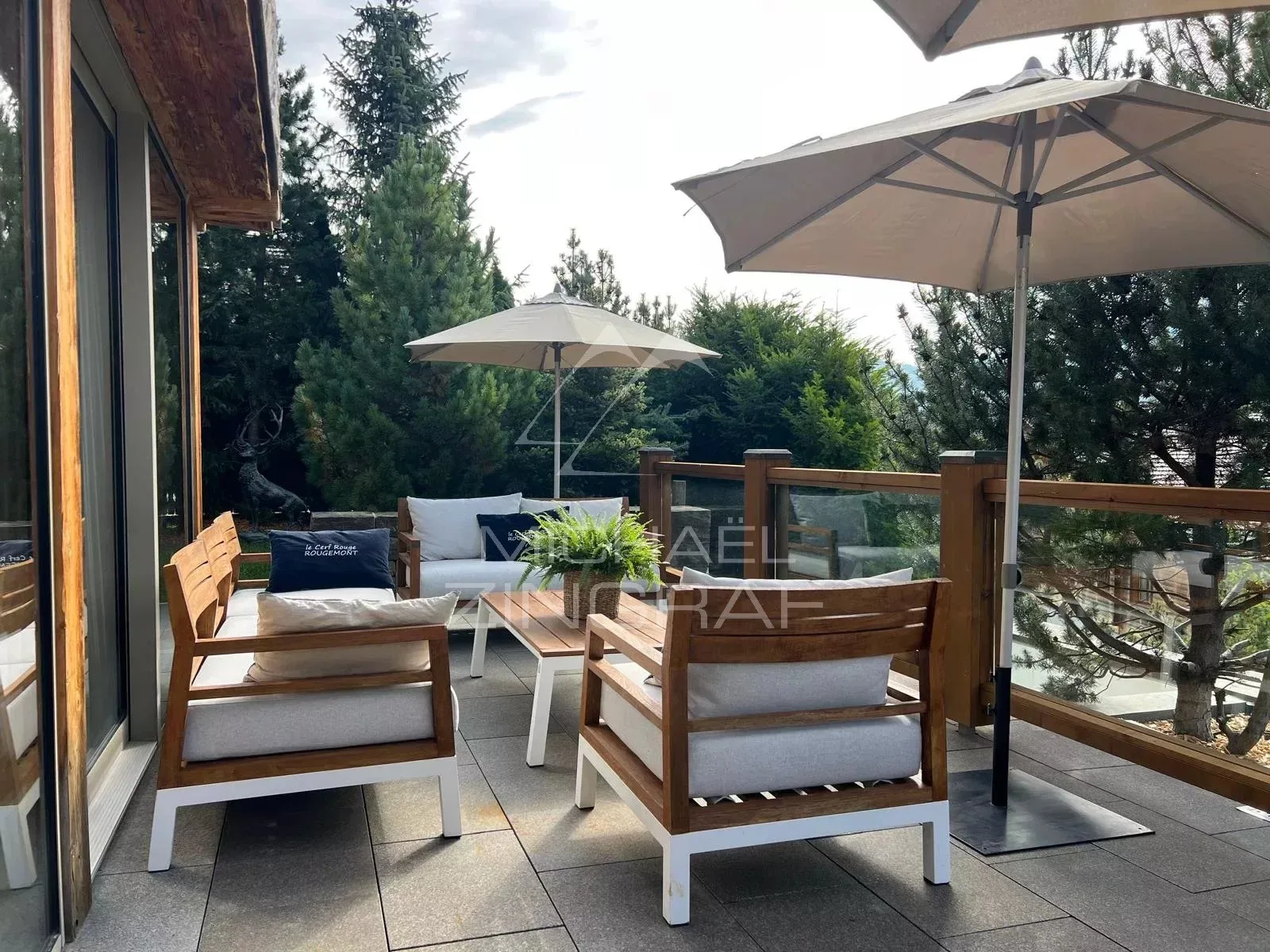 Location saisonnière d'un somptueux appartement à Rougemont - 3