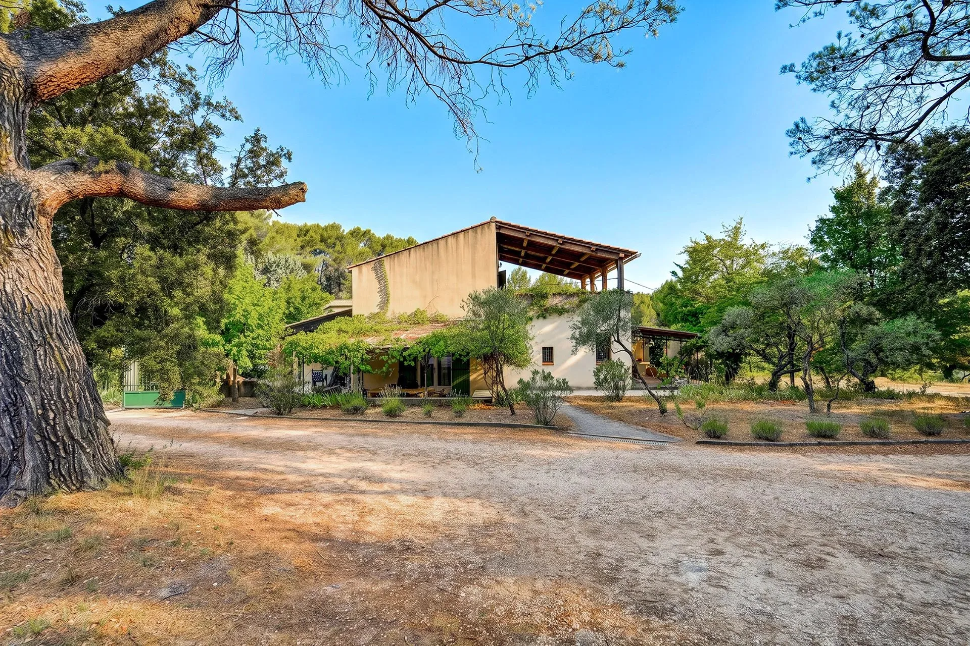 A 14 km d'Aix en Provence, maison familiale avec deux logements, oliveraie - 2