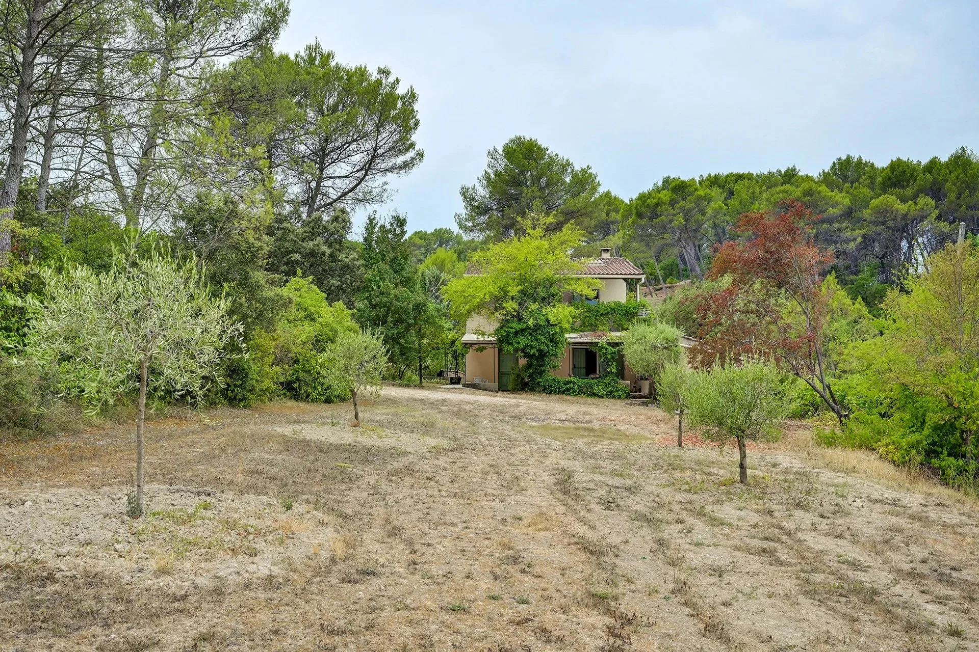 A 14 km d'Aix en Provence, maison familiale avec deux logements, oliveraie - 10