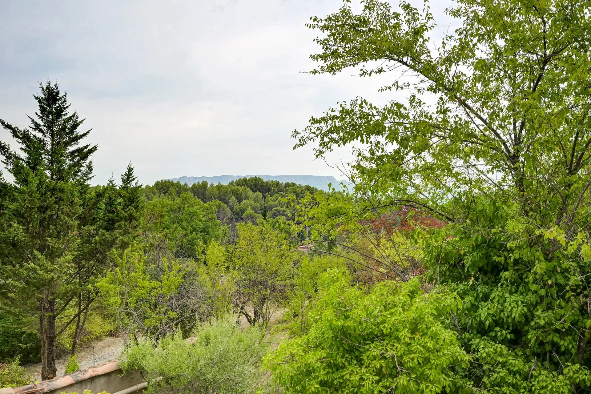 A 14 km d'Aix en Provence, maison familiale avec deux logements, oliveraie - 18