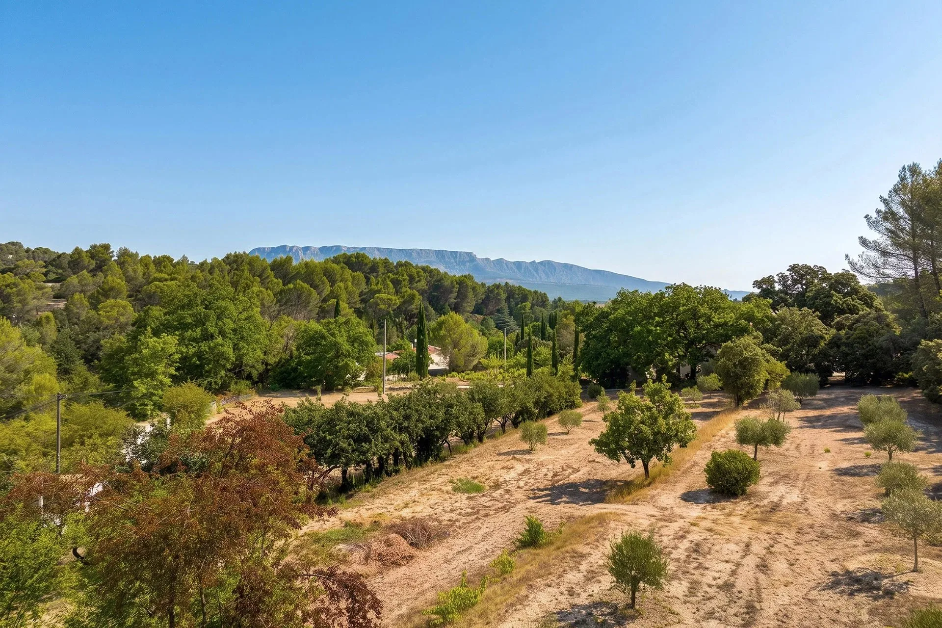 A 14 km d'Aix en Provence, maison familiale avec deux logements, oliveraie - 19