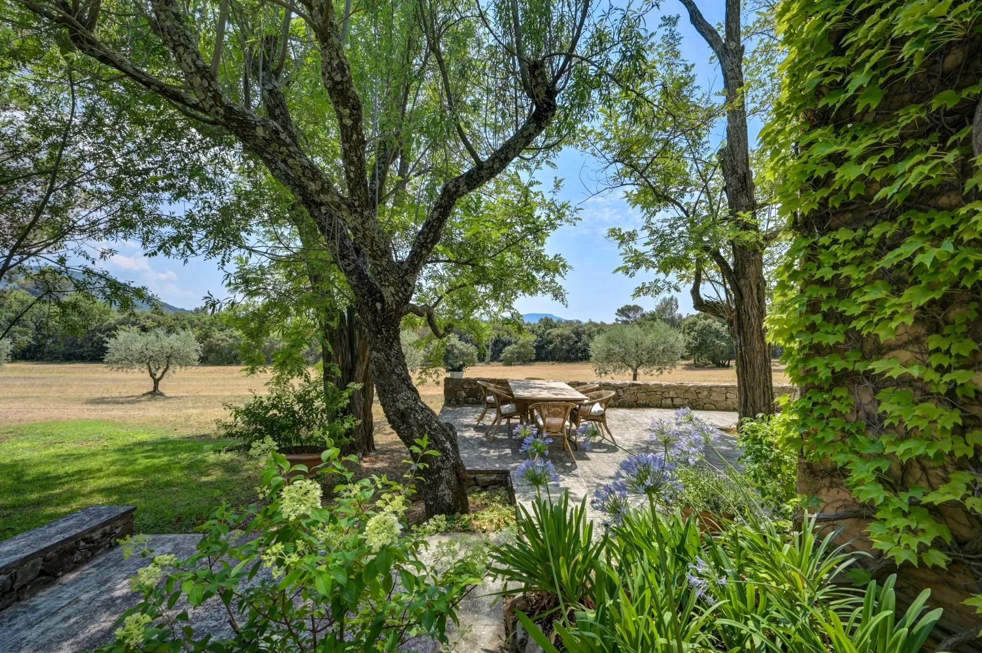 30 minutes from Aix-en-Provence – Authentic 19th-century country house in the heart of an estate of over 5 hectares - 20