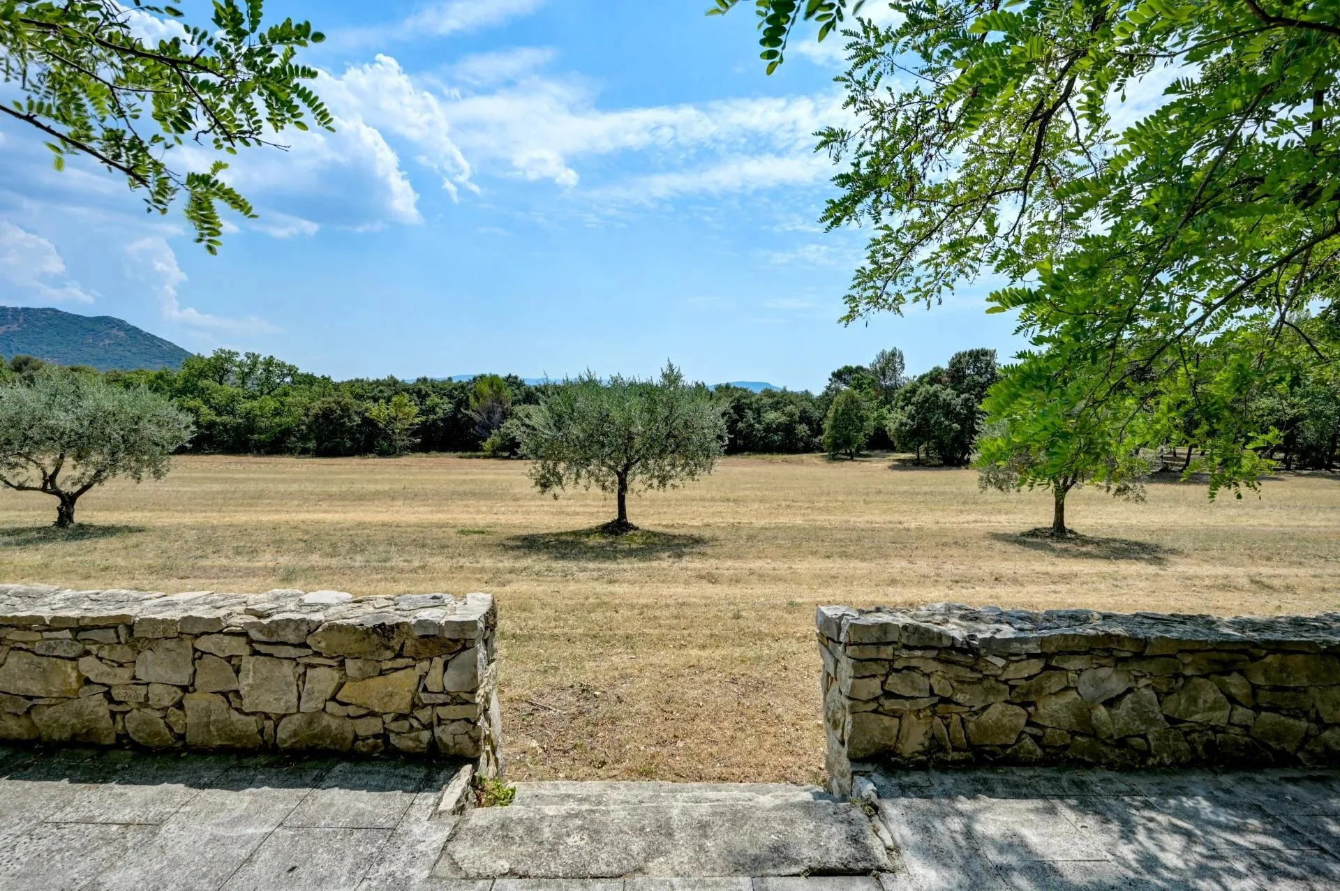 30 minutes from Aix-en-Provence – Authentic 19th-century country house in the heart of an estate of over 5 hectares - 28