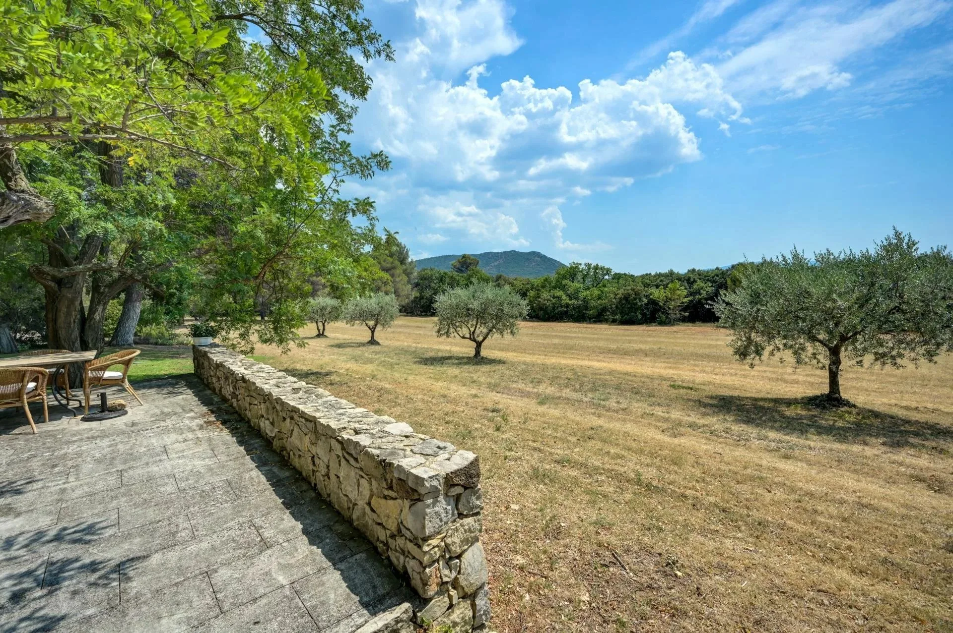 30 minutes from Aix-en-Provence – Authentic 19th-century country house in the heart of an estate of over 5 hectares - 29