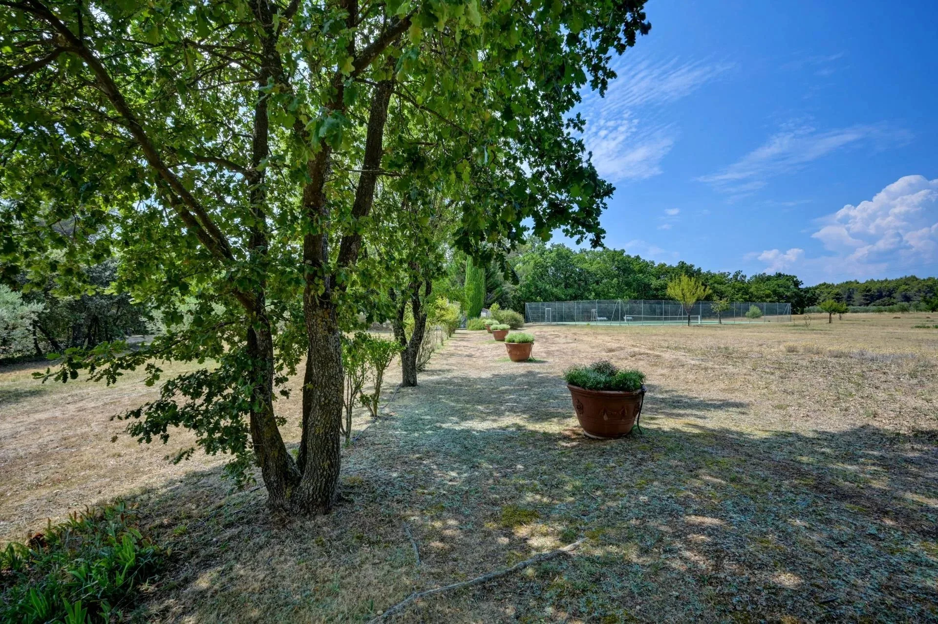 30 minutes from Aix-en-Provence – Authentic 19th-century country house in the heart of an estate of over 5 hectares - 87