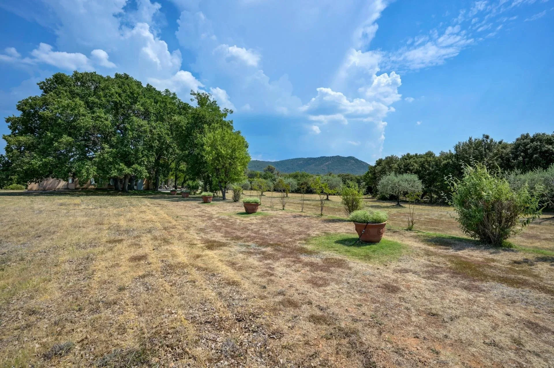 30 minutes from Aix-en-Provence – Authentic 19th-century country house in the heart of an estate of over 5 hectares - 89