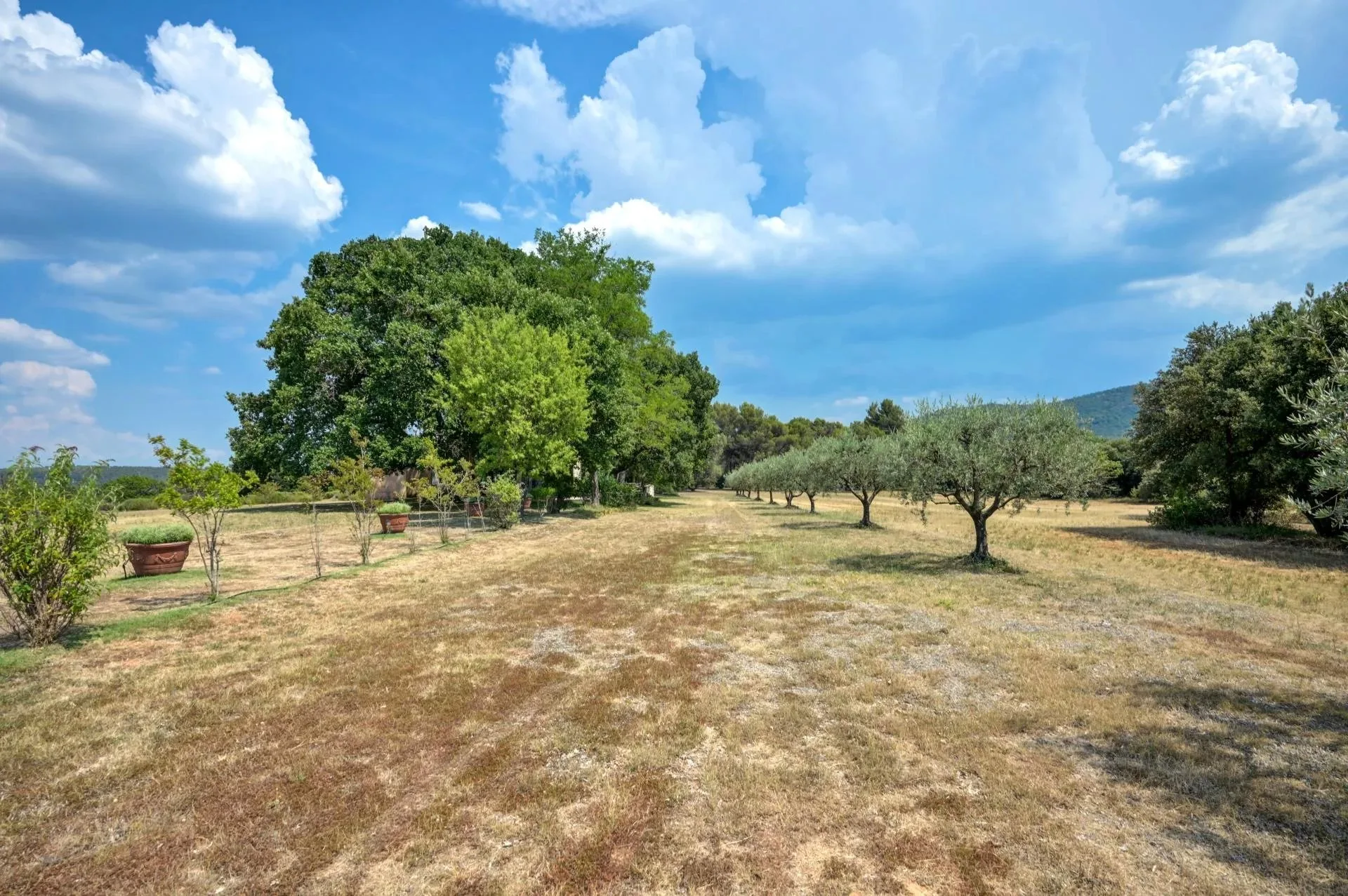 30 minutes from Aix-en-Provence – Authentic 19th-century country house in the heart of an estate of over 5 hectares - 102