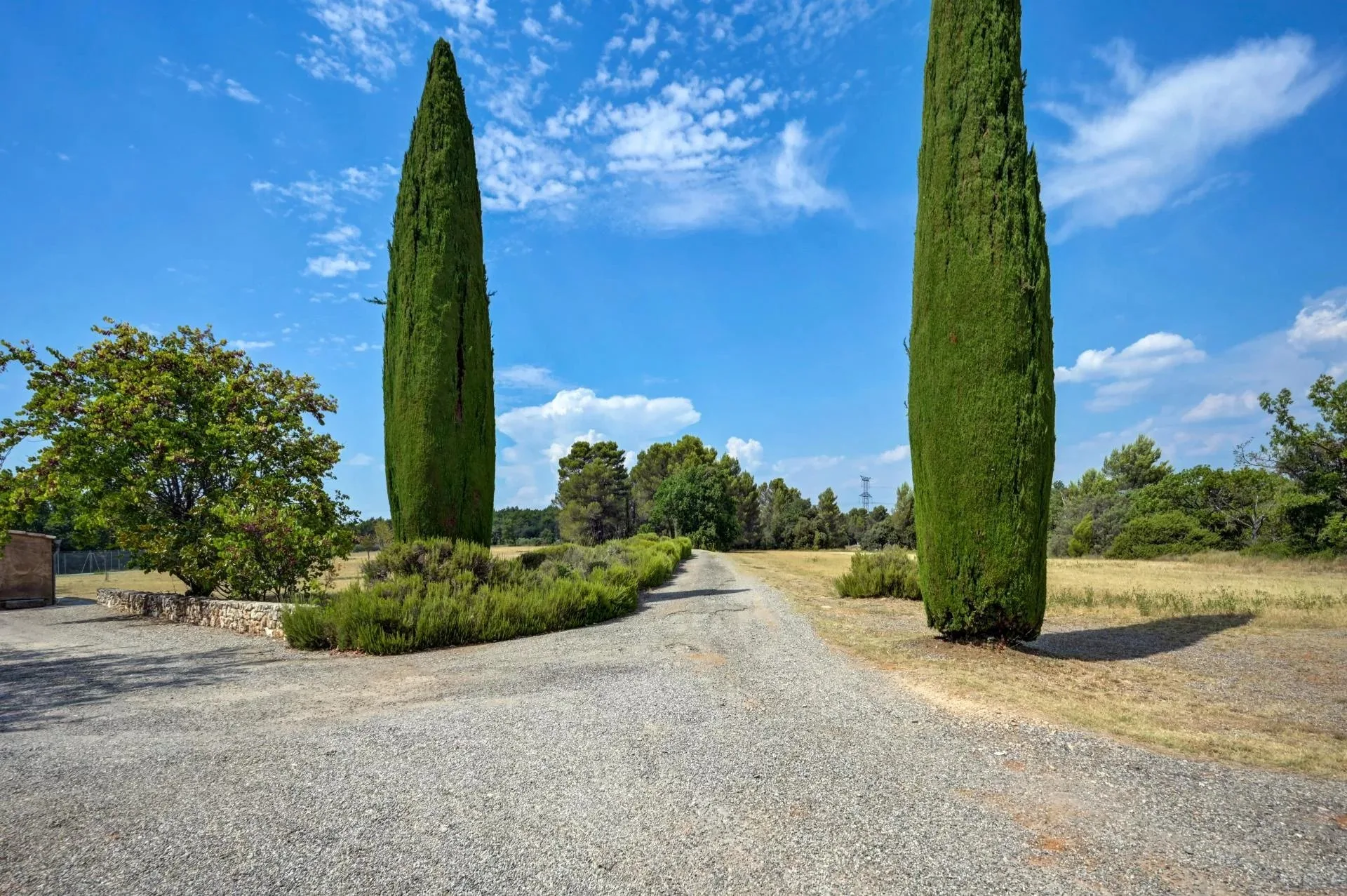 30 minutes from Aix-en-Provence – Authentic 19th-century country house in the heart of an estate of over 5 hectares - 116