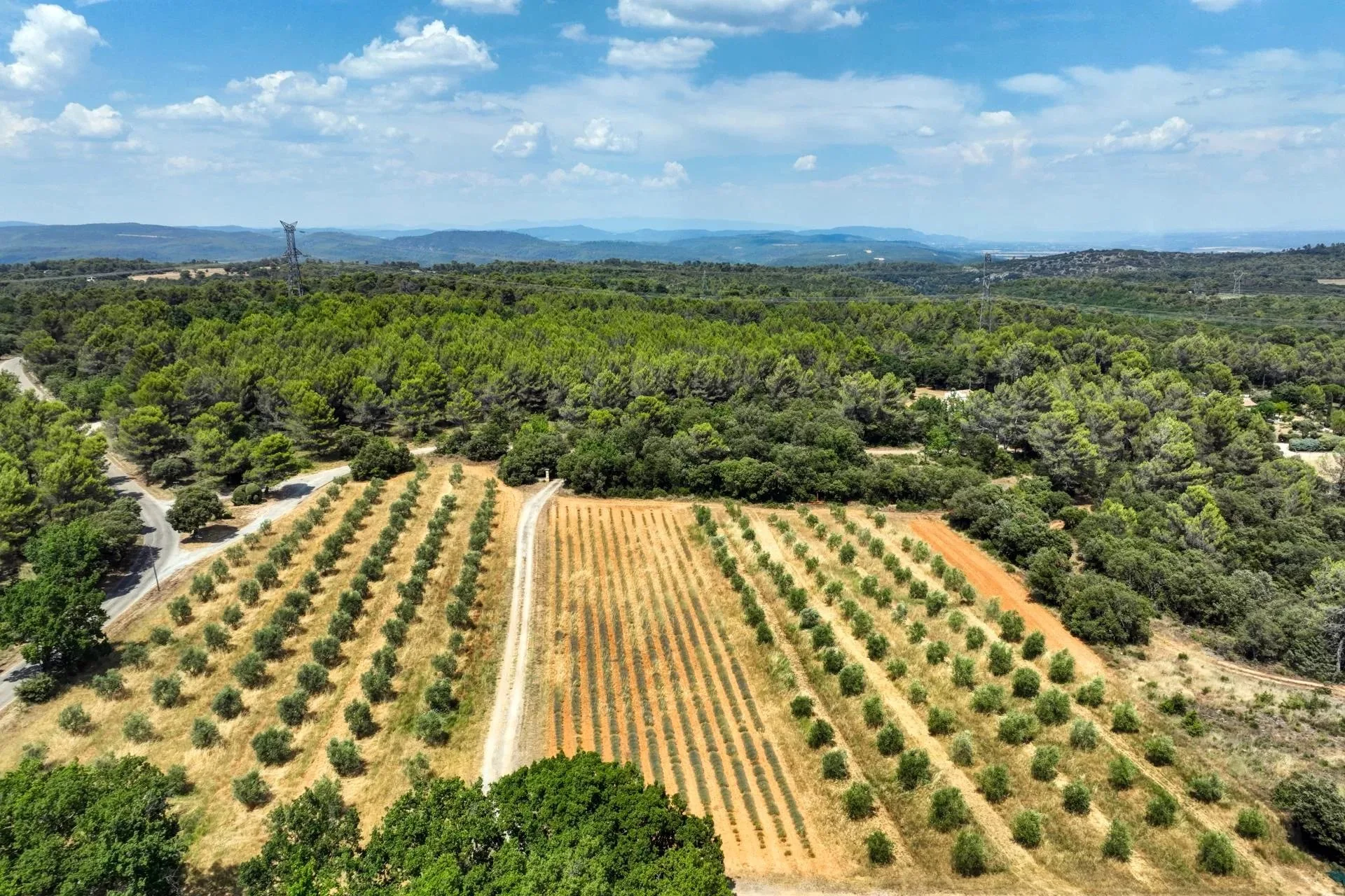 30 minutes from Aix-en-Provence – Authentic 19th-century country house in the heart of an estate of over 5 hectares - 139