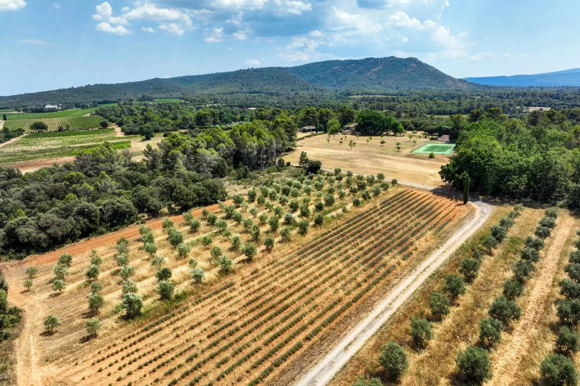 30 minutes from Aix-en-Provence – Authentic 19th-century country house in the heart of an estate of over 5 hectares - 141