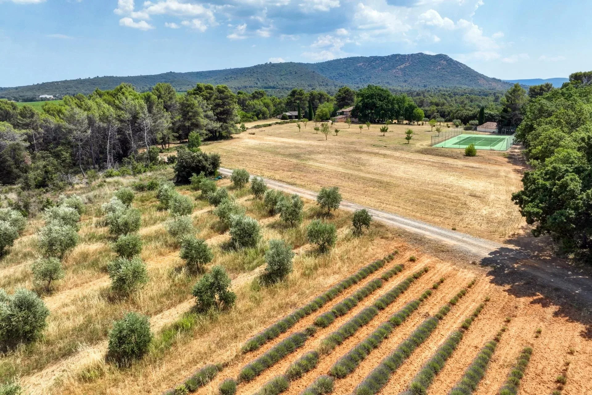 30 minutes from Aix-en-Provence – Authentic 19th-century country house in the heart of an estate of over 5 hectares - 142