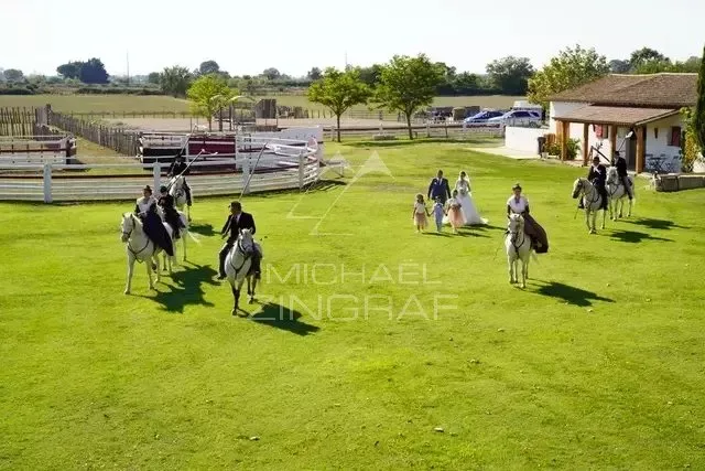 Sublime mas de 1850 au cœur de la Petite Camargue — Domaine d'exception sur 17 hectares - 18