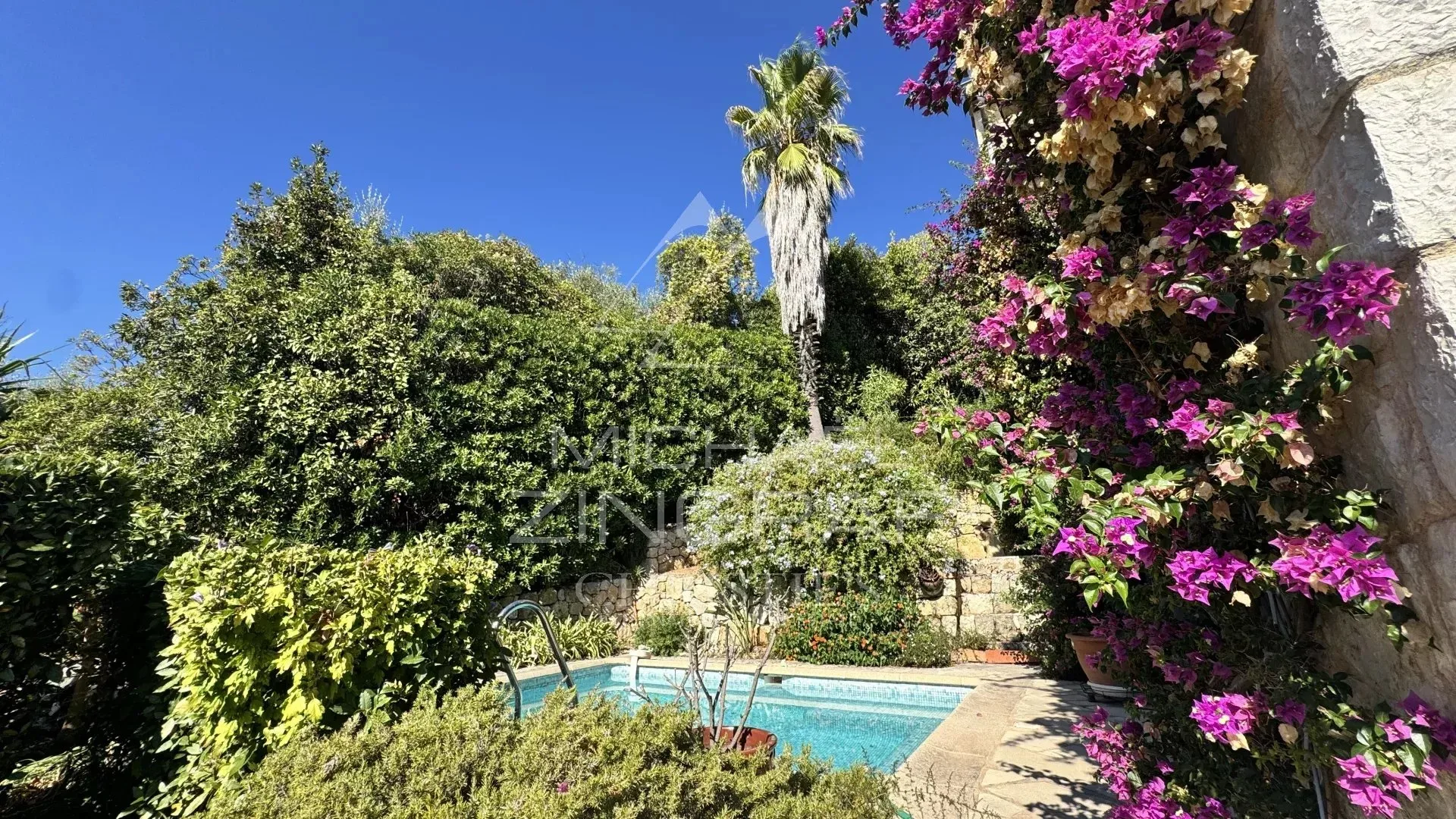Villa d'architecte avec vue mer et oliveraie