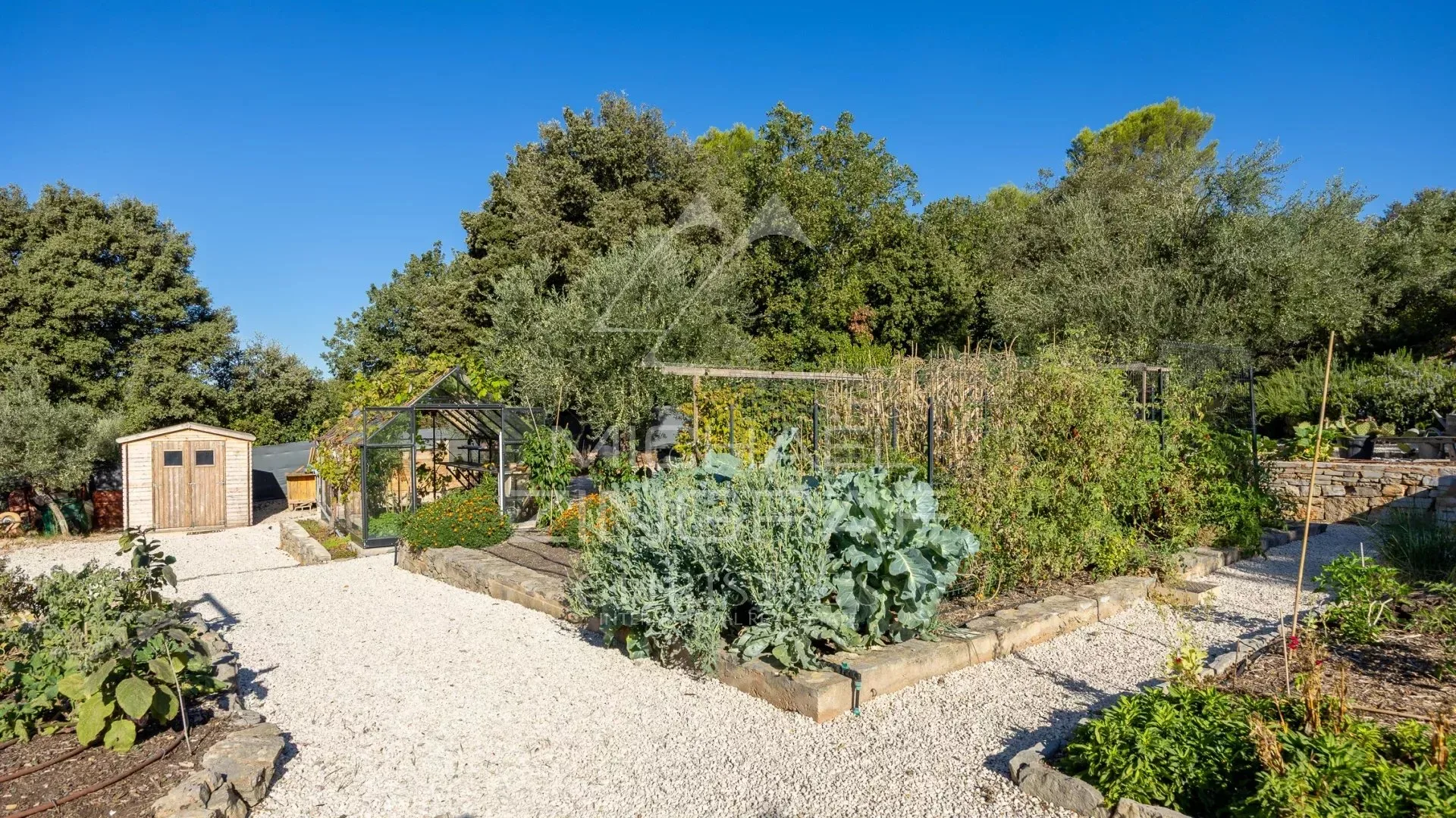 Propriété confidentielle au cœur de la Provence, entre vignes et oliviers - 12