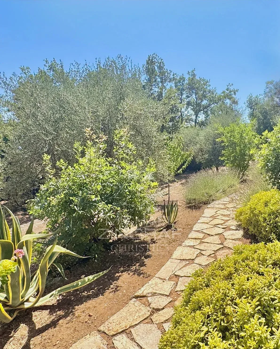 Propriété avec parc paysagé et vue mer  Panoramique - 28